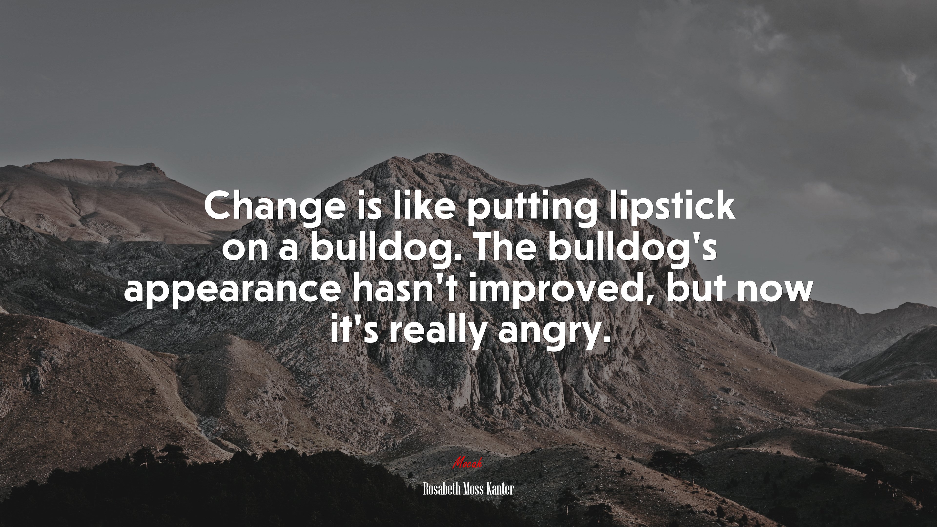 Change is like putting lipstick on a bulldog. The bulldog’s appearance hasn’t improved, but now it’s really angry. | Rosabeth Moss Kanter quote HD Wallpaper