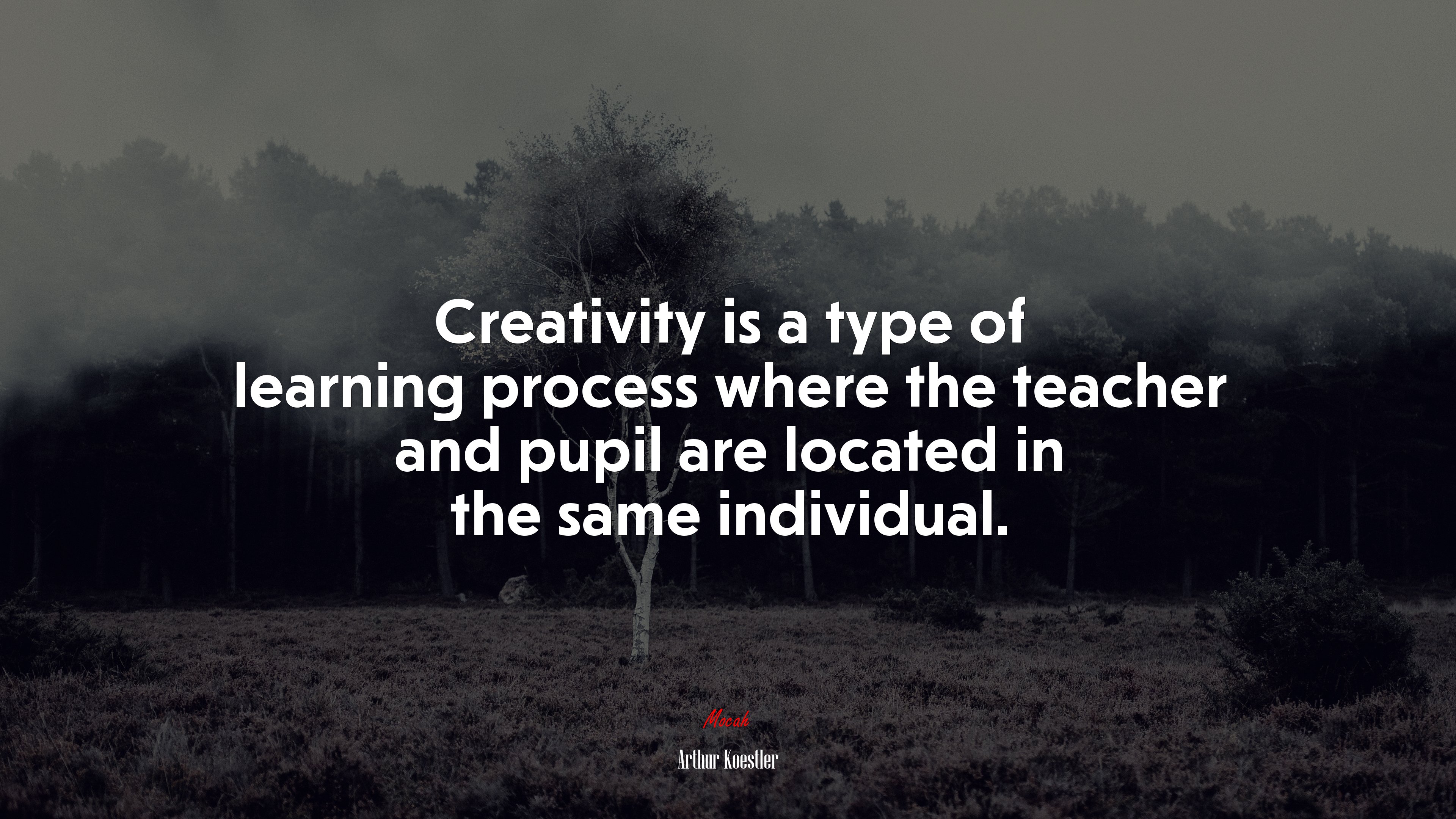 Creativity is a type of learning process where the teacher and pupil are located in the same individual. | Arthur Koestler quote HD Wallpaper