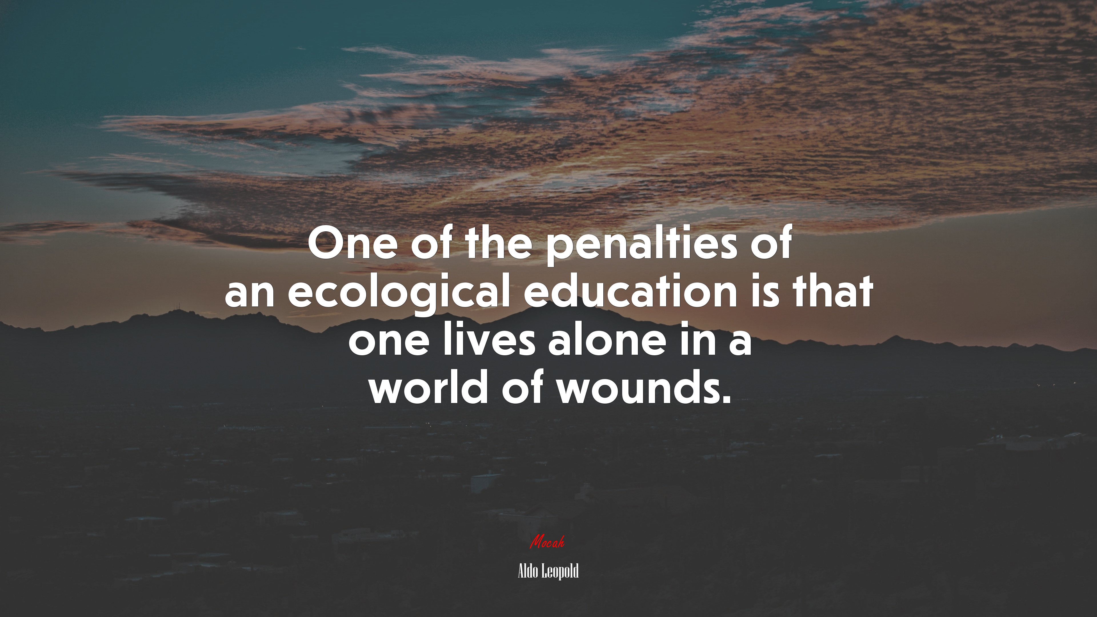 One of the penalties of an ecological education is that one lives alone in a world of wounds. | Aldo Leopold quote HD Wallpaper