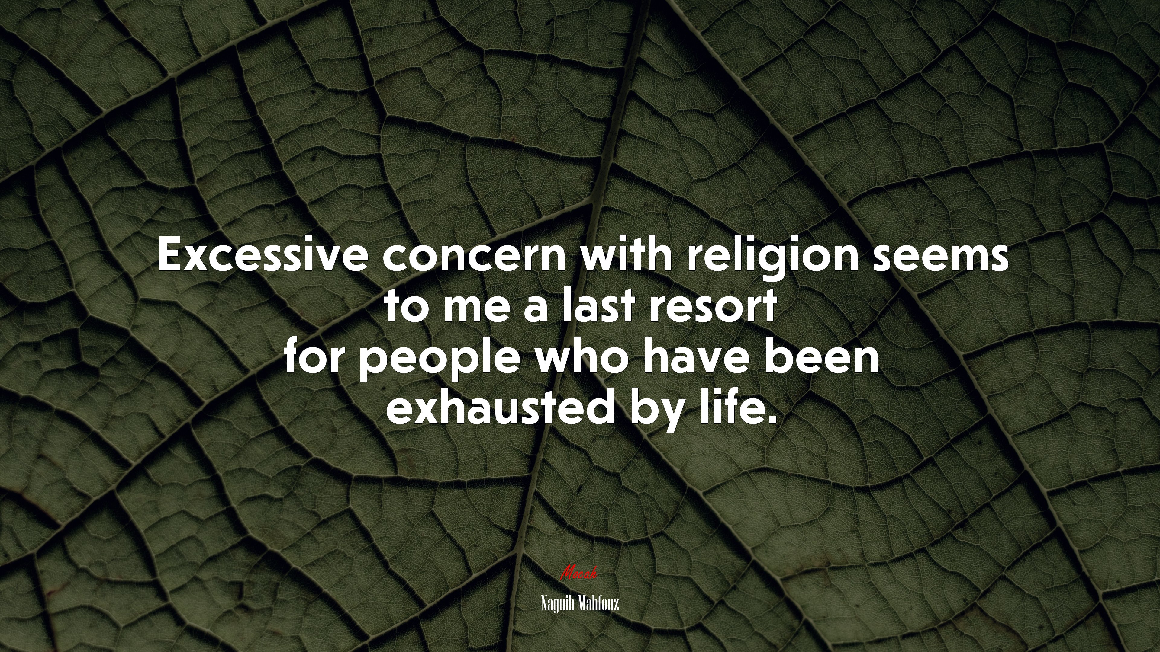 Excessive concern with religion seems to me a last resort for people who have been exhausted by life. | Naguib Mahfouz quote HD Wallpaper
