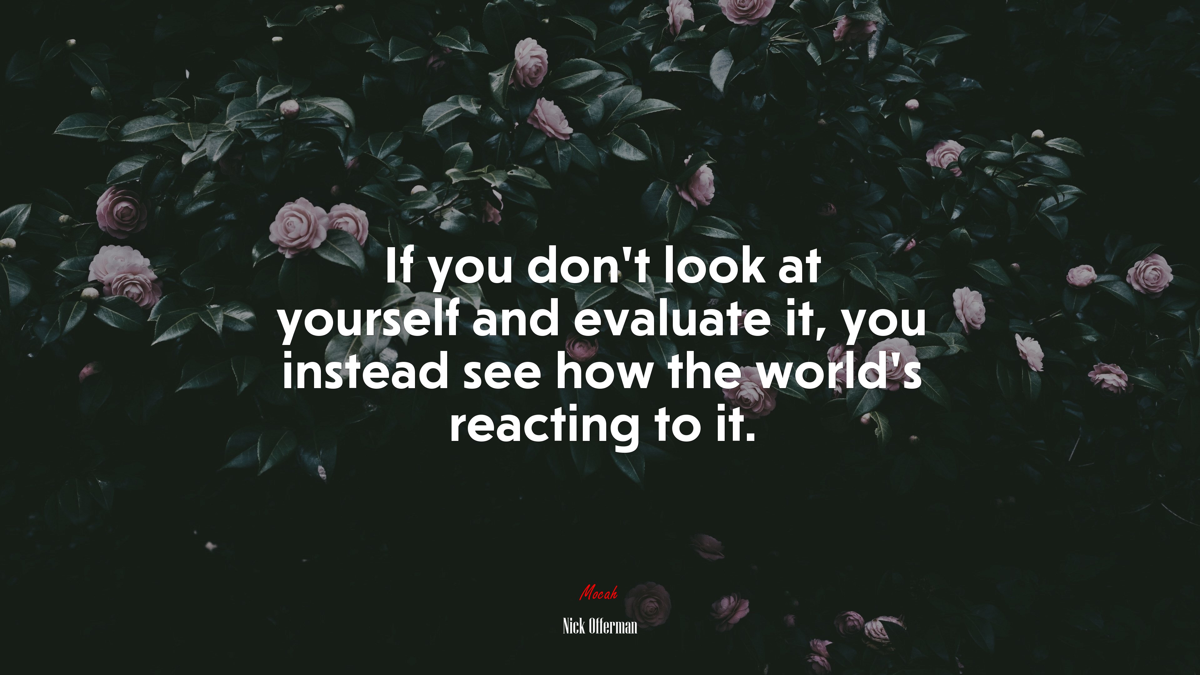 If you don’t look at yourself and evaluate it, you instead see how the world’s reacting to it. | Nick Offerman quote HD Wallpaper