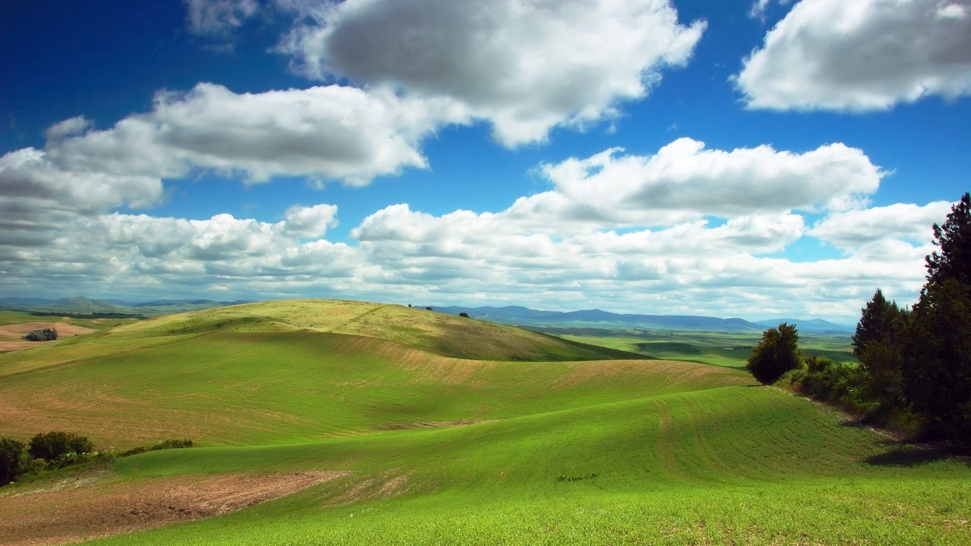 Rolling green hills under a cloudy blue sky HD Wallpaper