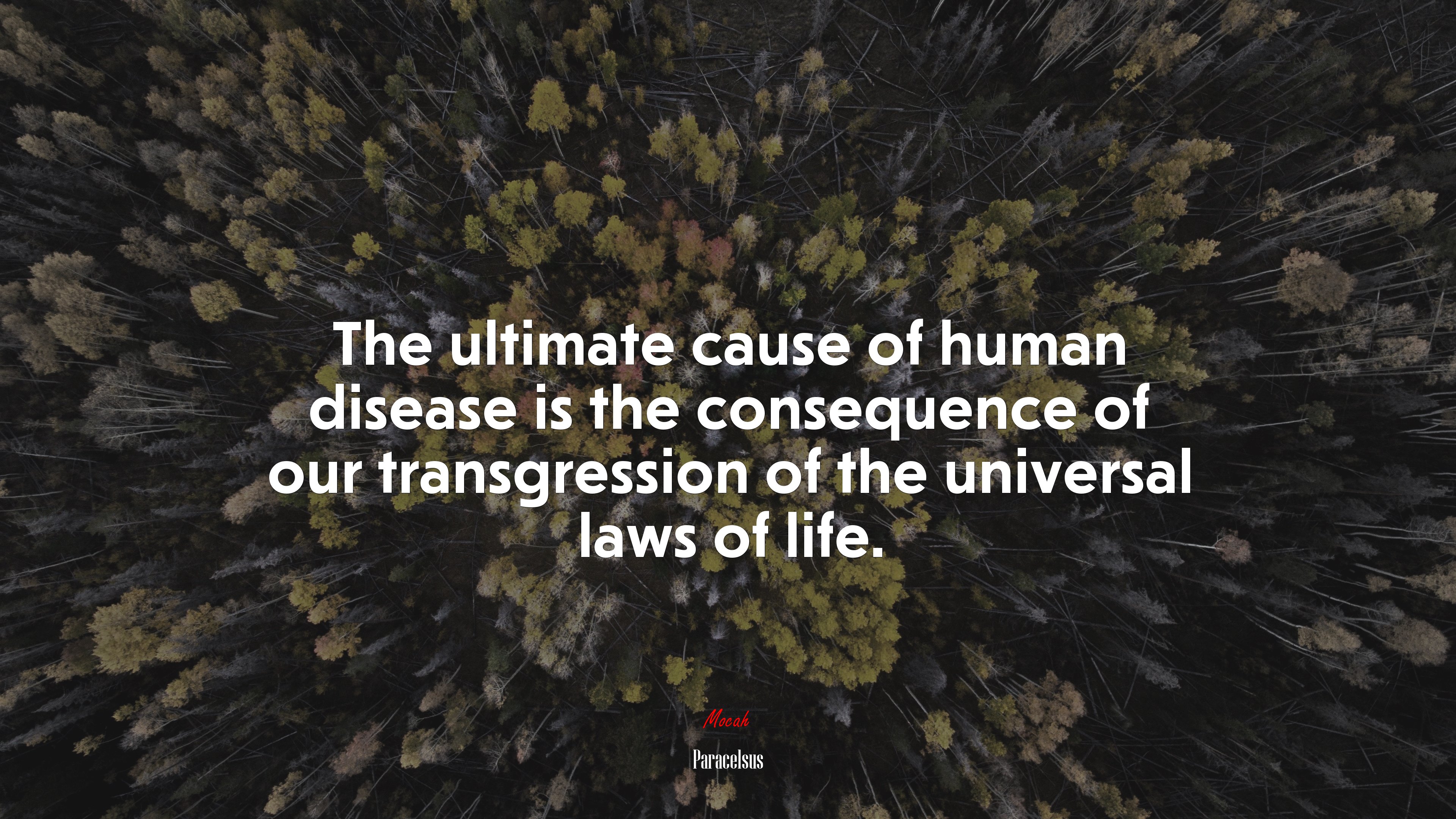 The ultimate cause of human disease is the consequence of our transgression of the universal laws of life. | Paracelsus quote HD Wallpaper