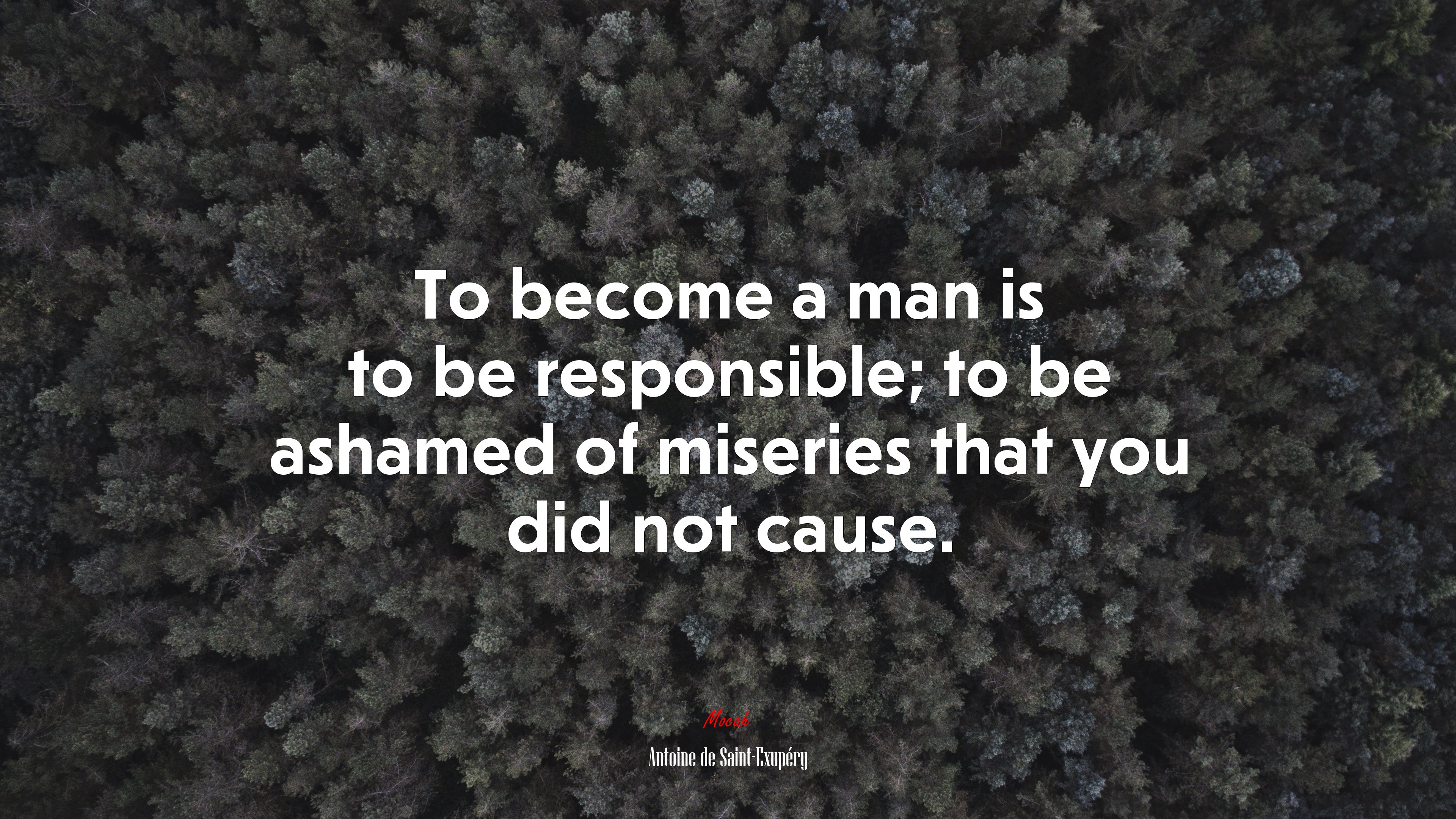 To become a man is to be responsible; to be ashamed of miseries that you did not cause. | Antoine de Saint-Exupéry quote HD Wallpaper