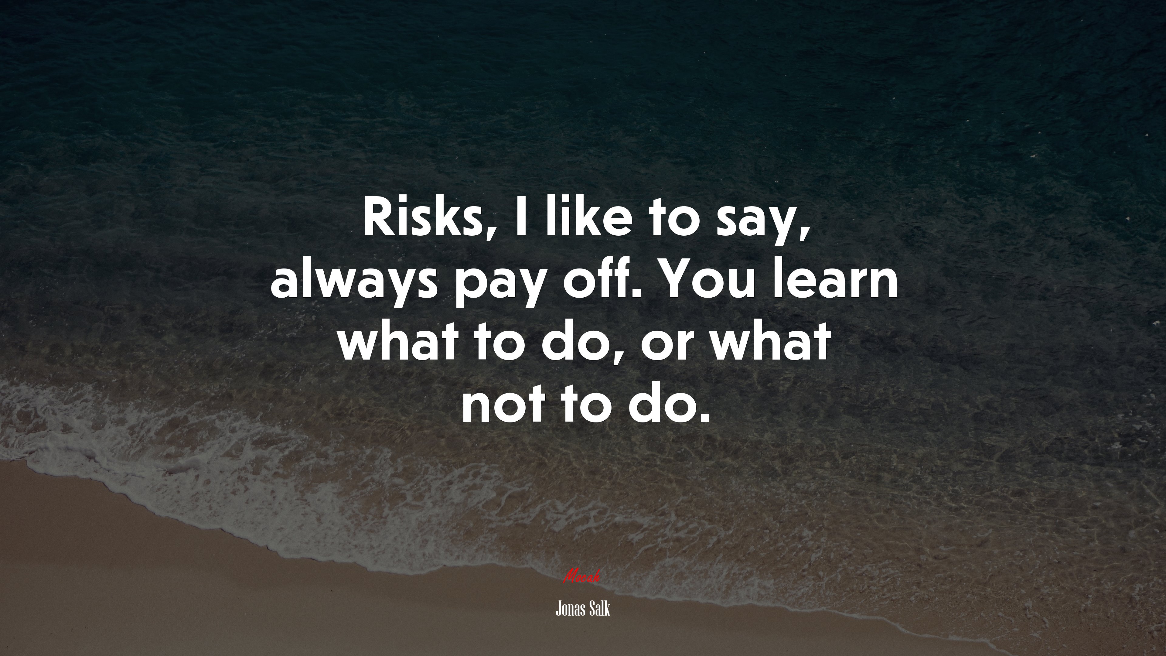 Risks, I like to say, always pay off. You learn what to do, or what not to do. | Jonas Salk quote HD Wallpaper