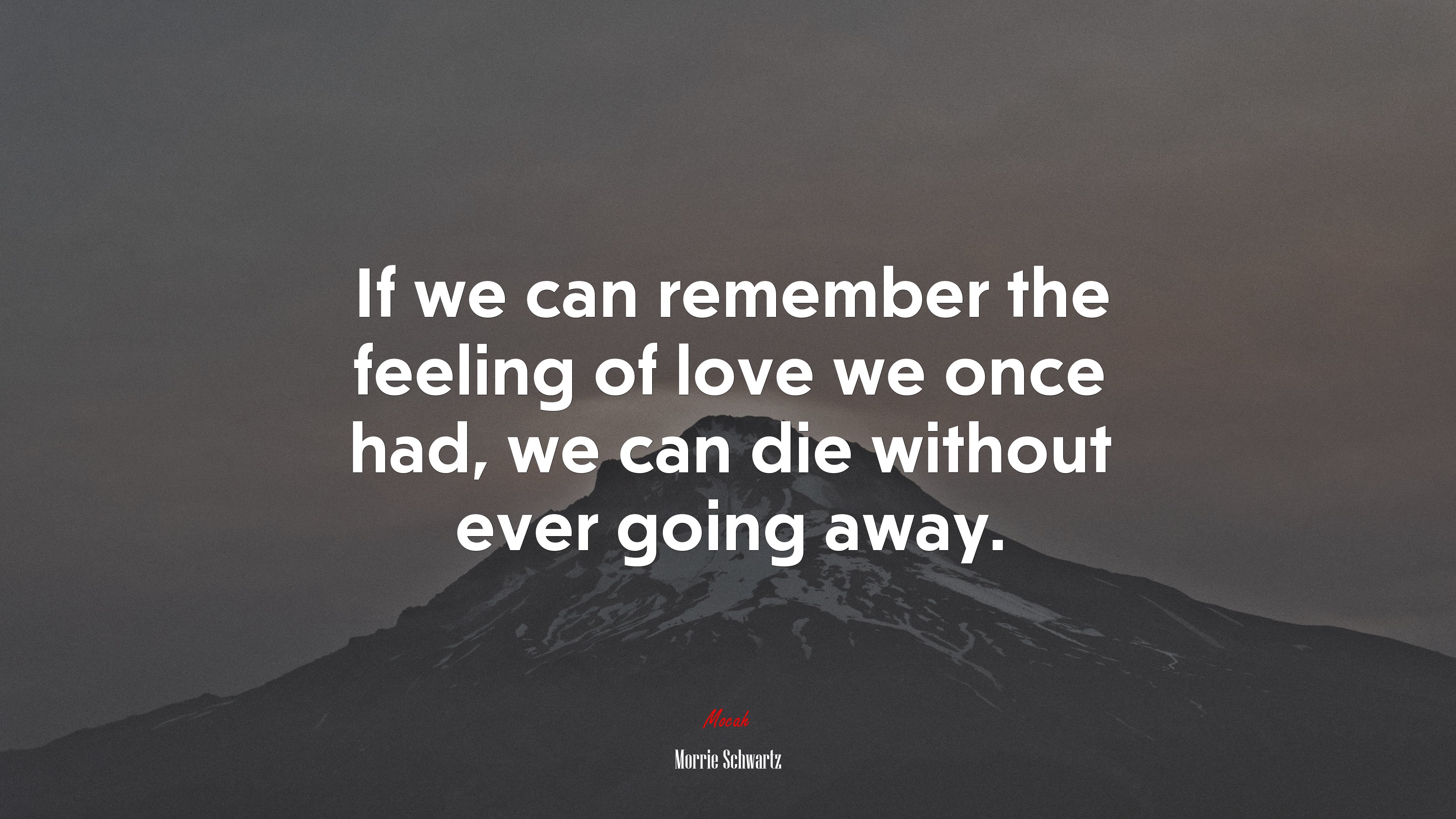 If we can remember the feeling of love we once had, we can die without ever going away. | Morrie Schwartz quote HD Wallpaper