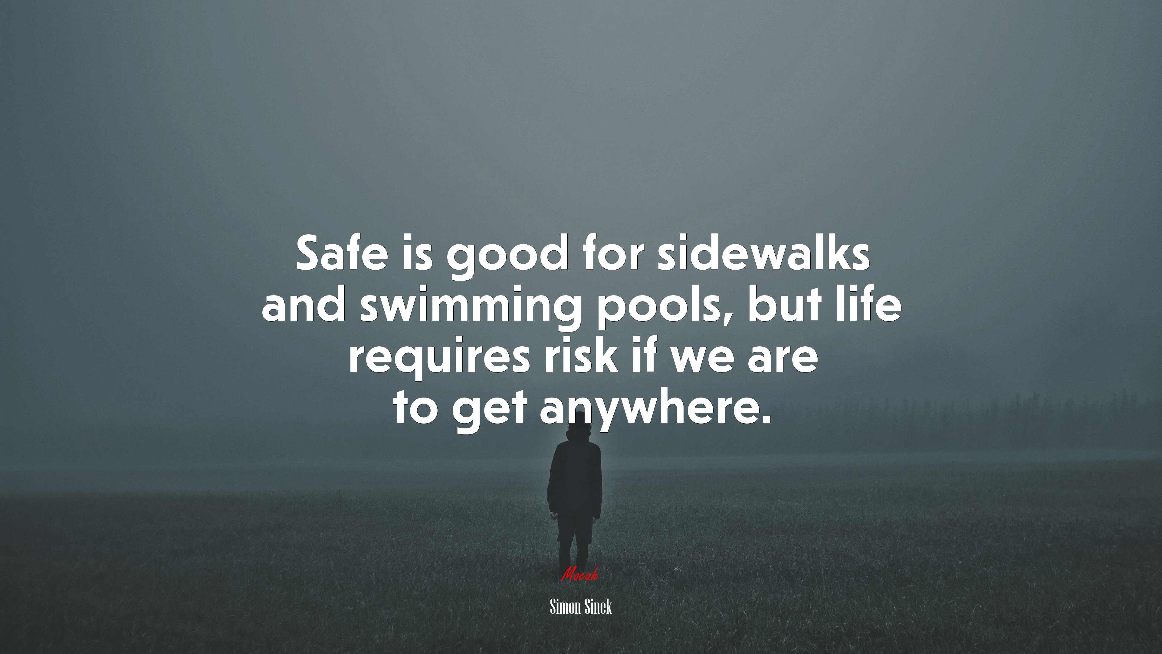Safe is good for sidewalks and swimming pools, but life requires risk if we are to get anywhere. | Simon Sinek quote HD Wallpaper