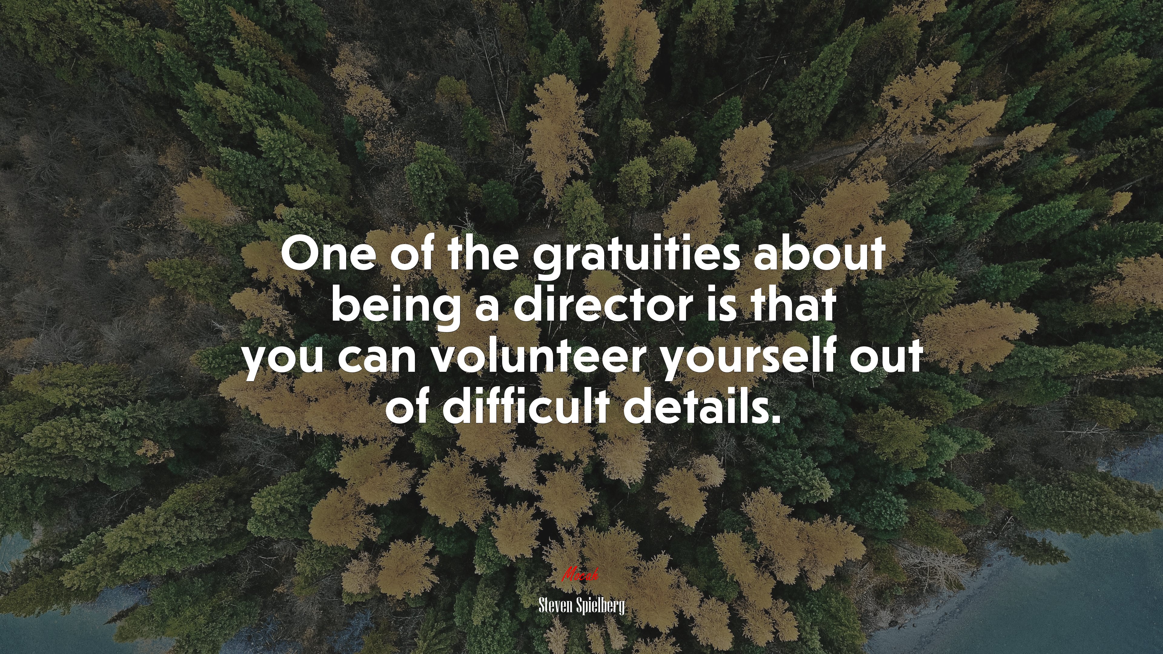 One of the gratuities about being a director is that you can volunteer yourself out of difficult details. | Steven Spielberg quote HD Wallpaper