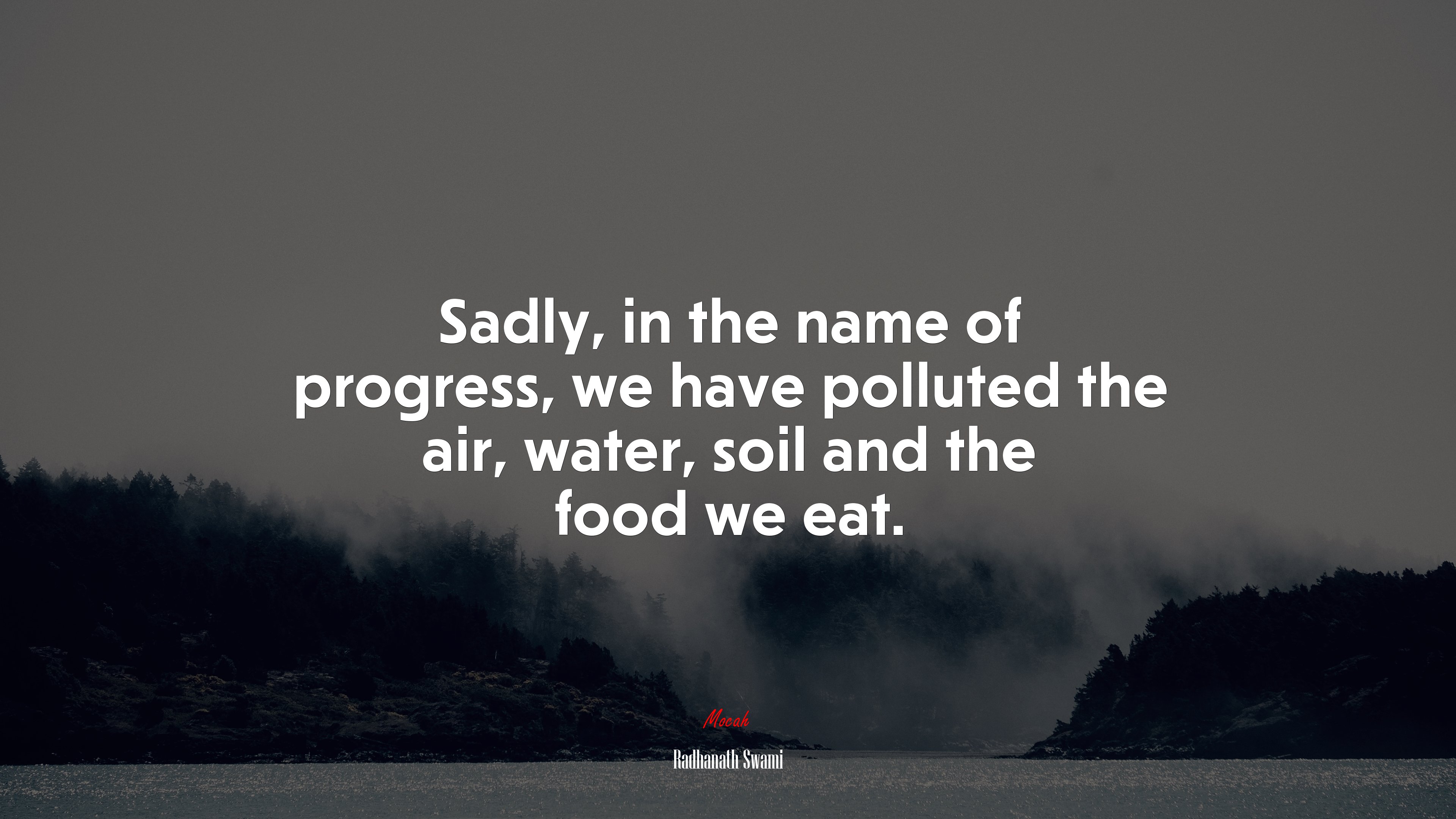 Sadly, in the name of progress, we have polluted the air, water, soil and the food we eat. | Radhanath Swami quote HD Wallpaper