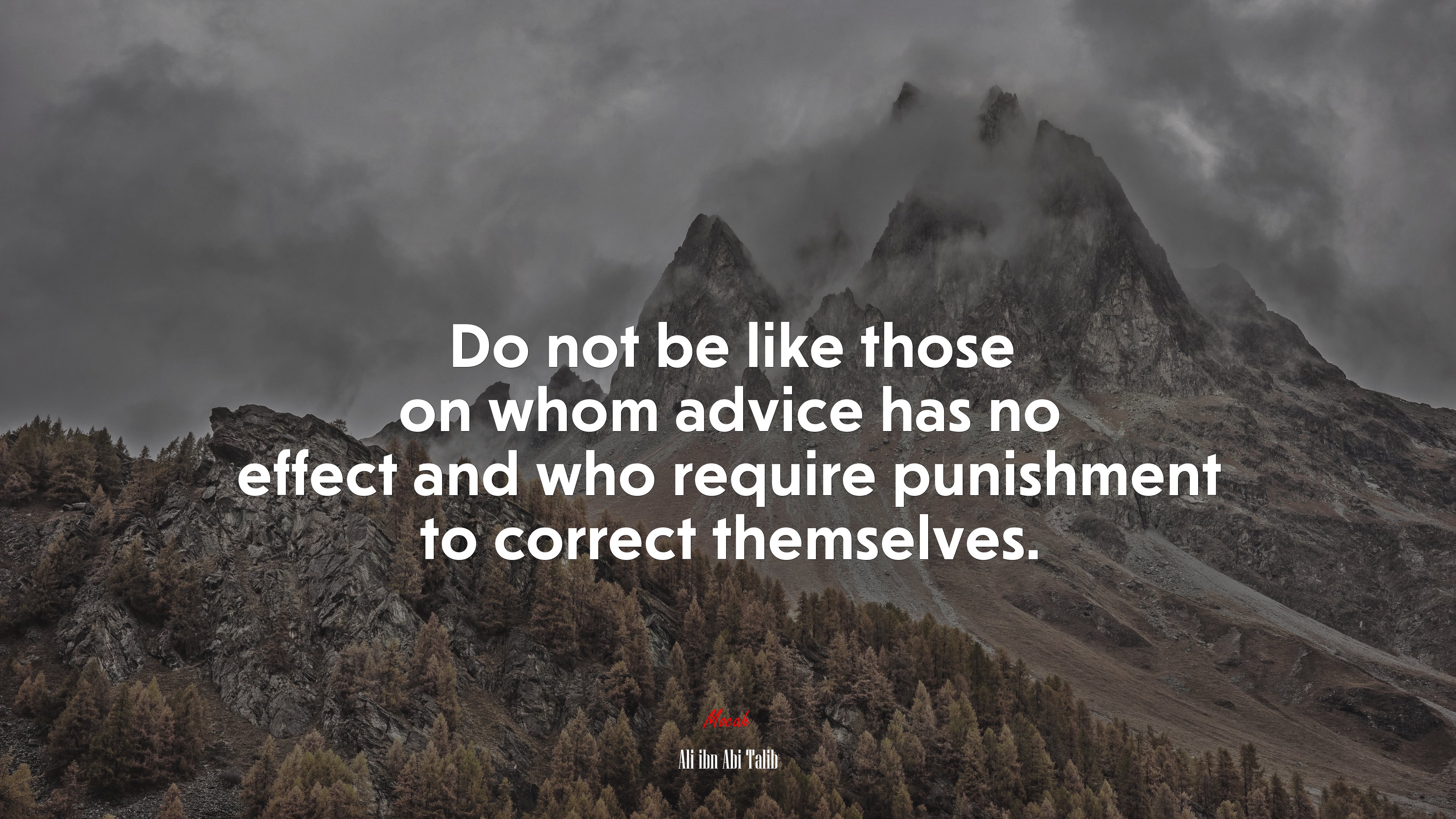 Do not be like those on whom advice has no effect and who require punishment to correct themselves. | Ali ibn Abi Talib quote HD Wallpaper