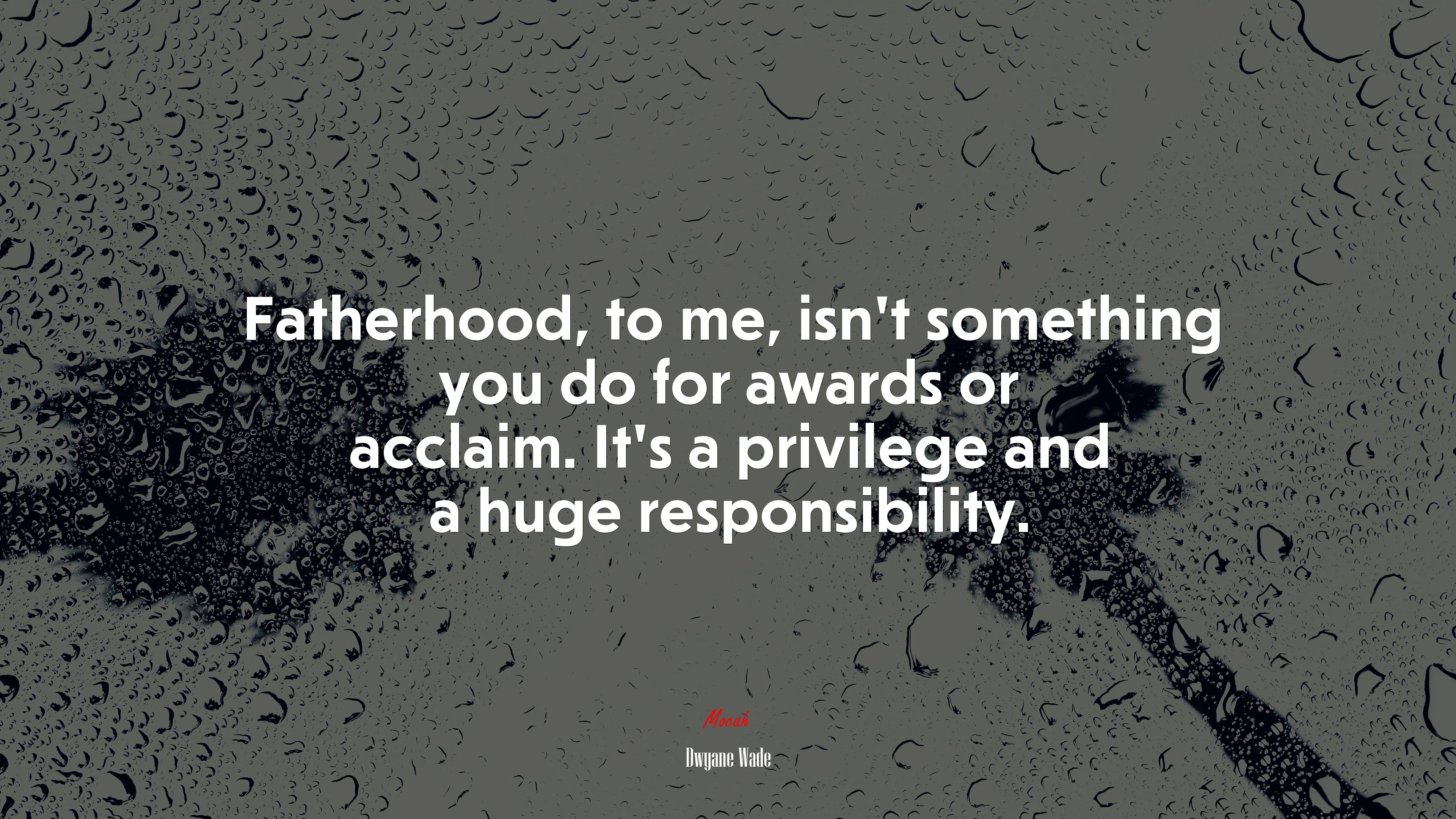 Fatherhood, to me, isn’t something you do for awards or acclaim. It’s a privilege and a huge responsibility. | Dwyane Wade quote HD Wallpaper