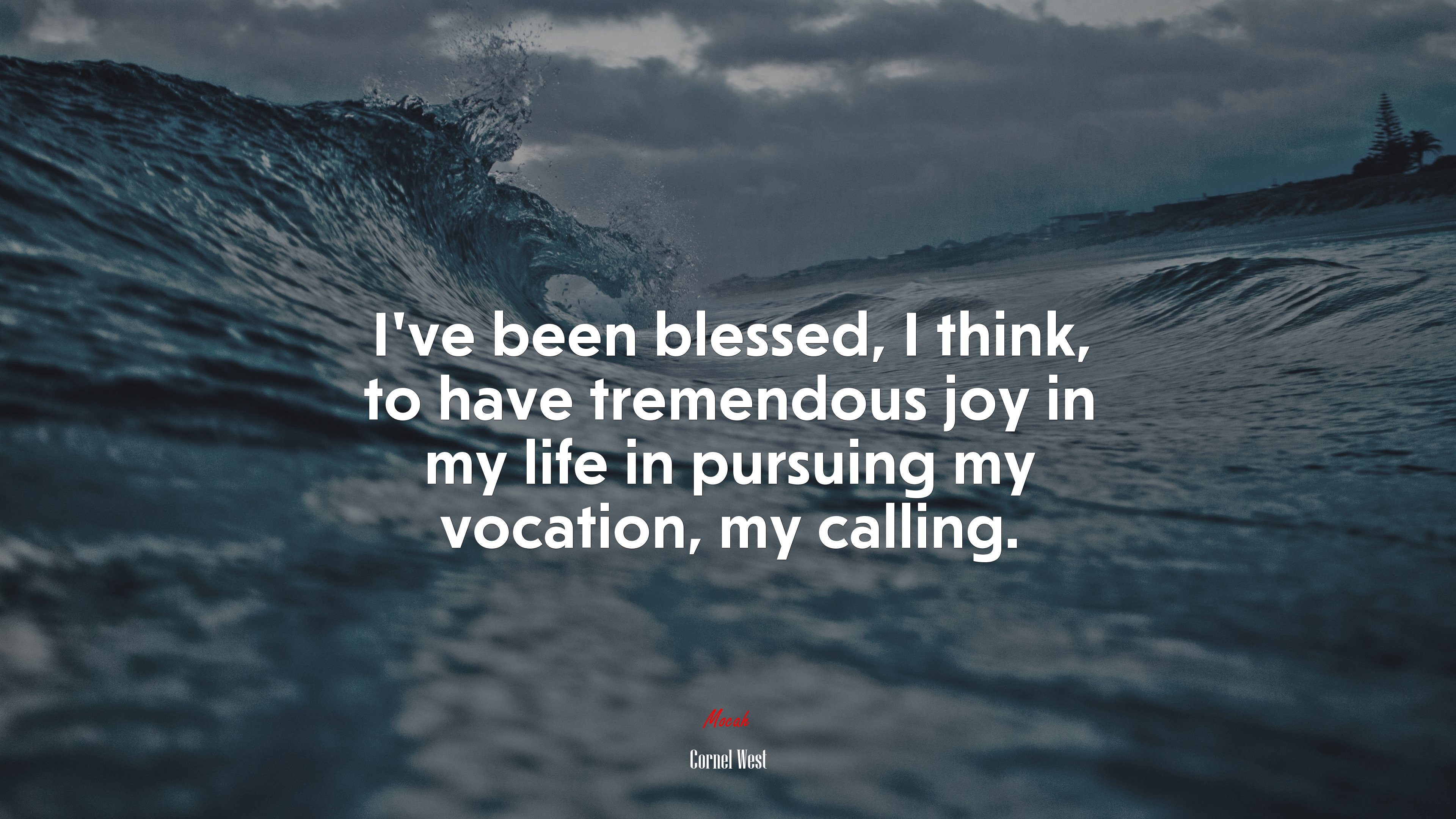 I’ve been blessed, I think, to have tremendous joy in my life in pursuing my vocation, my calling. | Cornel West quote HD Wallpaper