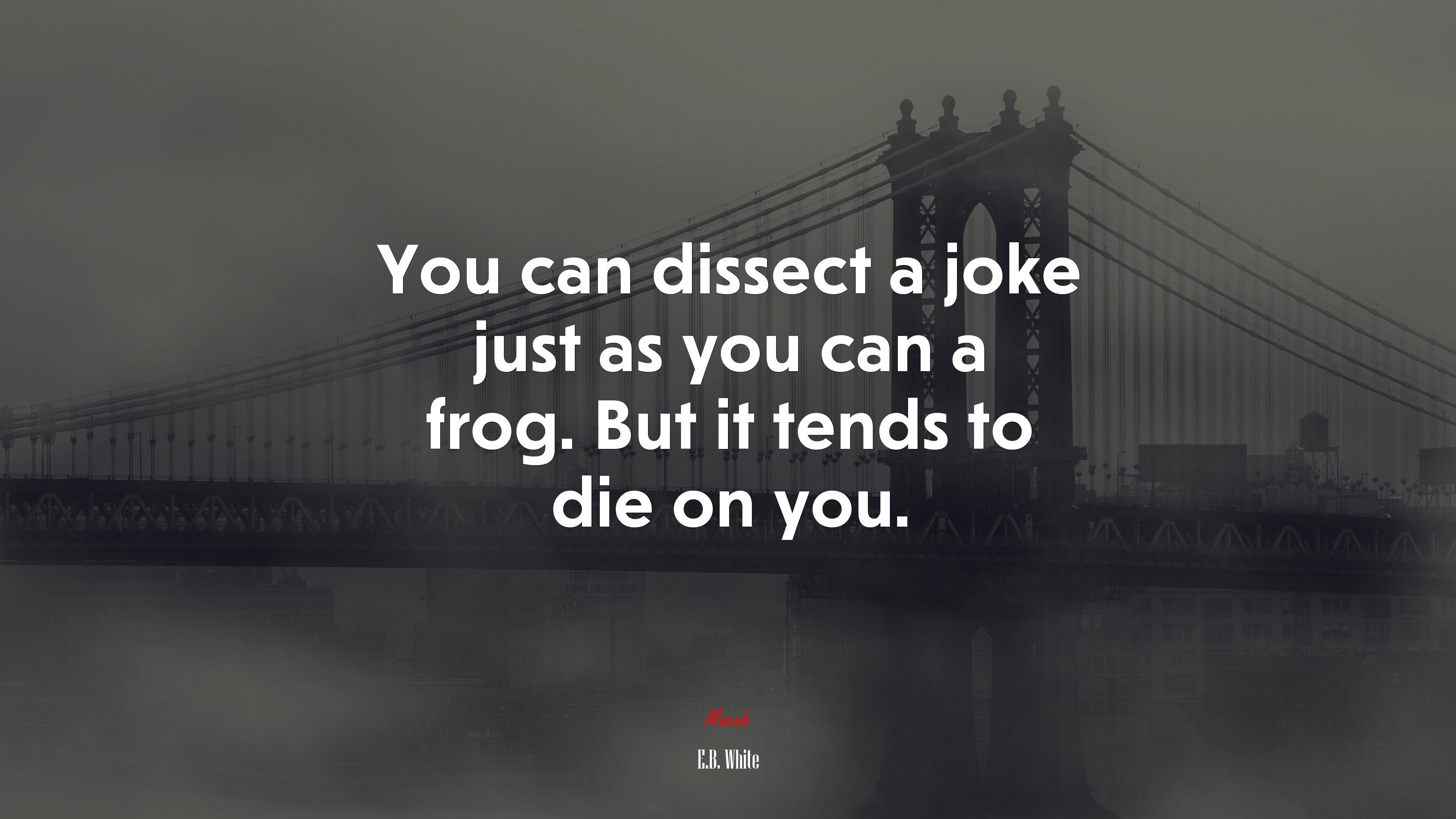 You can dissect a joke just as you can a frog. But it tends to die on you. | E.B. White quote HD Wallpaper