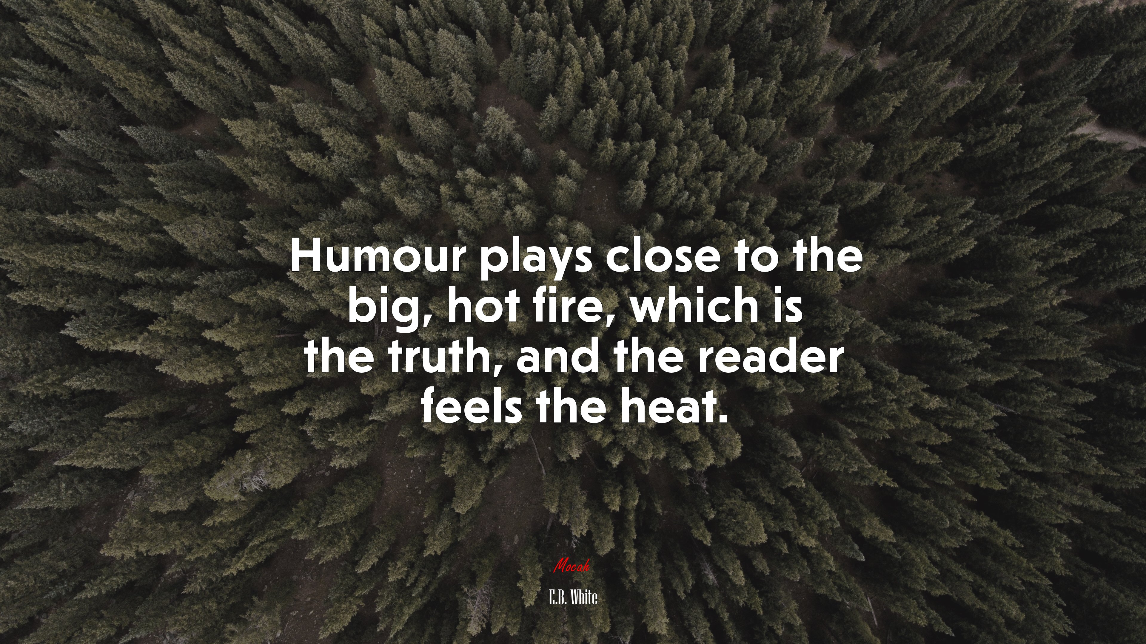 Humour plays close to the big, hot fire, which is the truth, and the reader feels the heat. | E.B. White quote HD Wallpaper