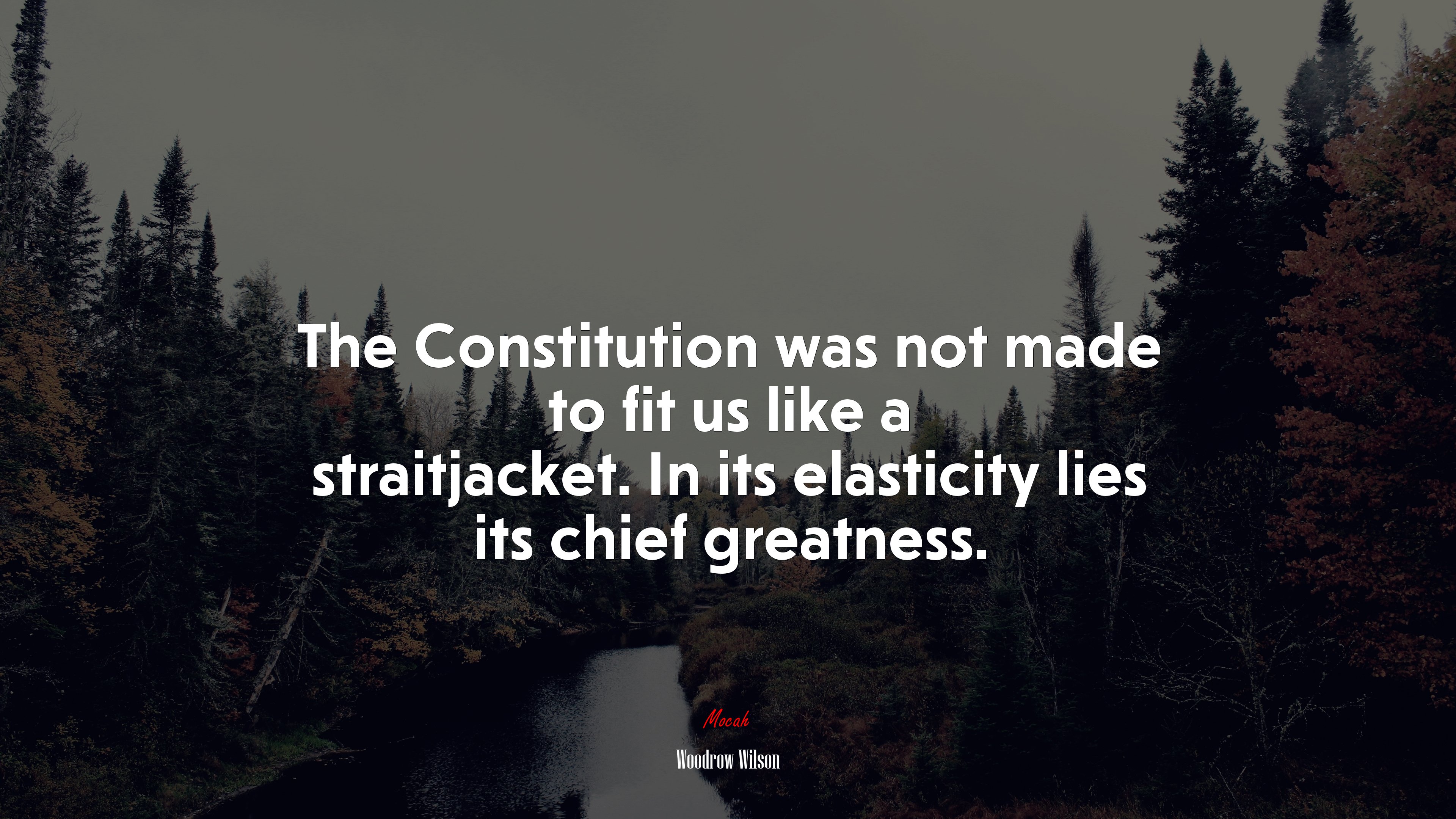 The Constitution was not made to fit us like a straitjacket. In its elasticity lies its chief greatness. | Woodrow Wilson quote HD Wallpaper