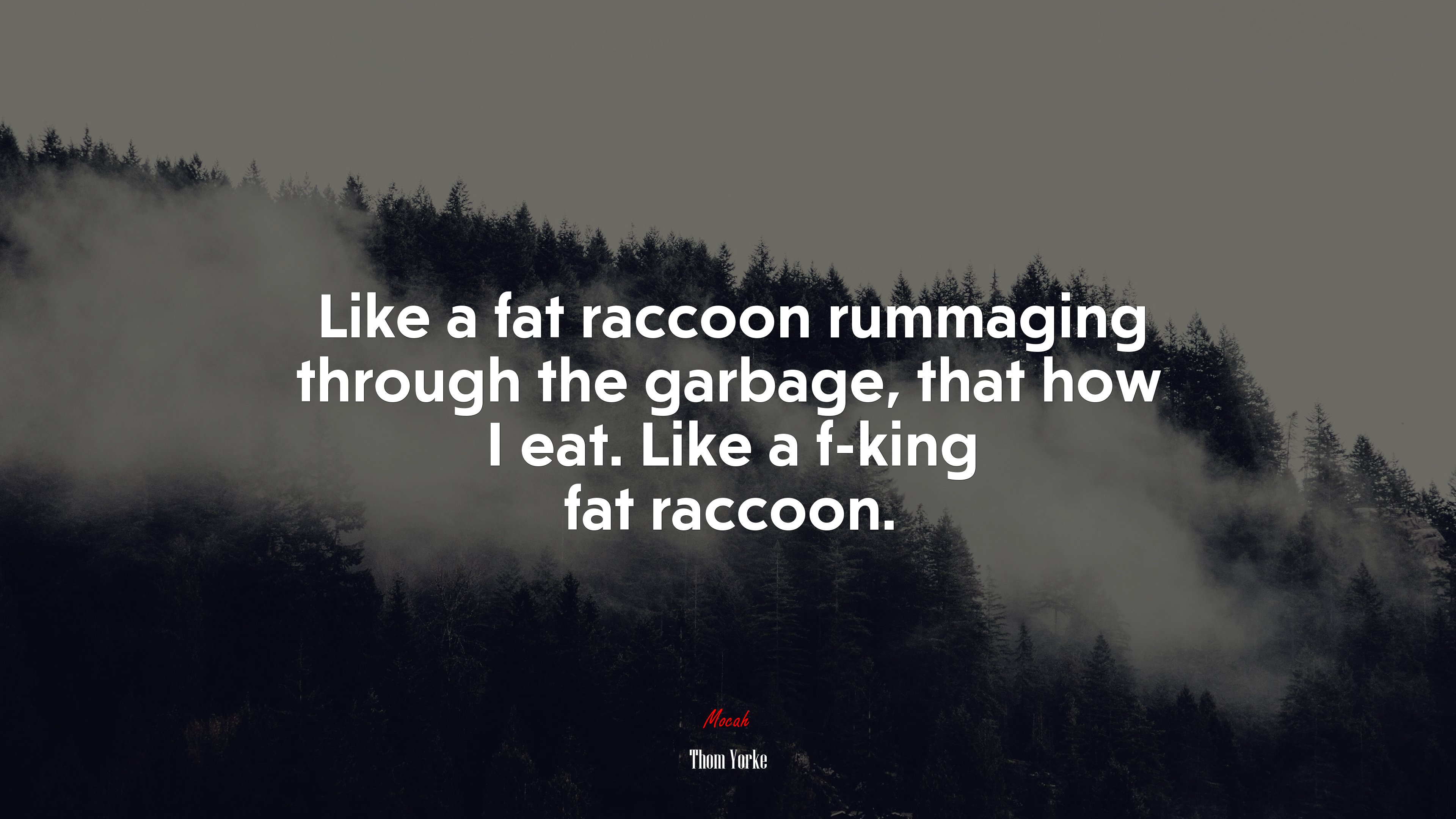 Like a fat raccoon rummaging through the garbage, that how I eat. Like a f-king fat raccoon. | Thom Yorke quote HD Wallpaper