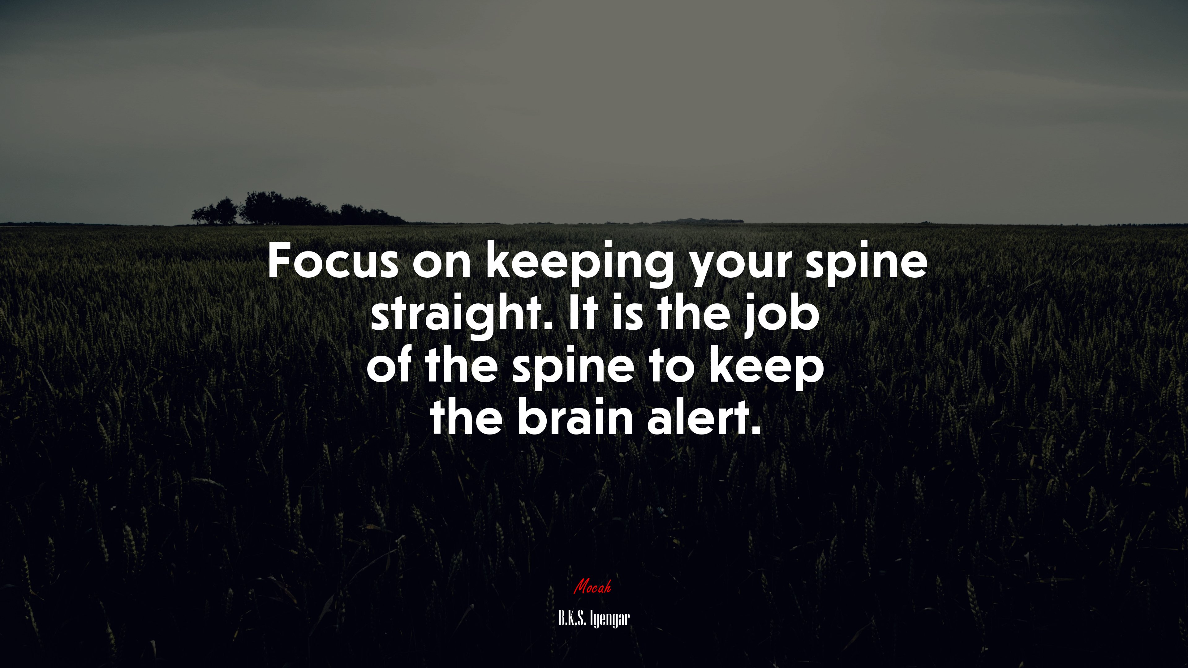 Focus on keeping your spine straight. It is the job of the spine to keep the brain alert. | B.K.S. Iyengar quote HD Wallpaper