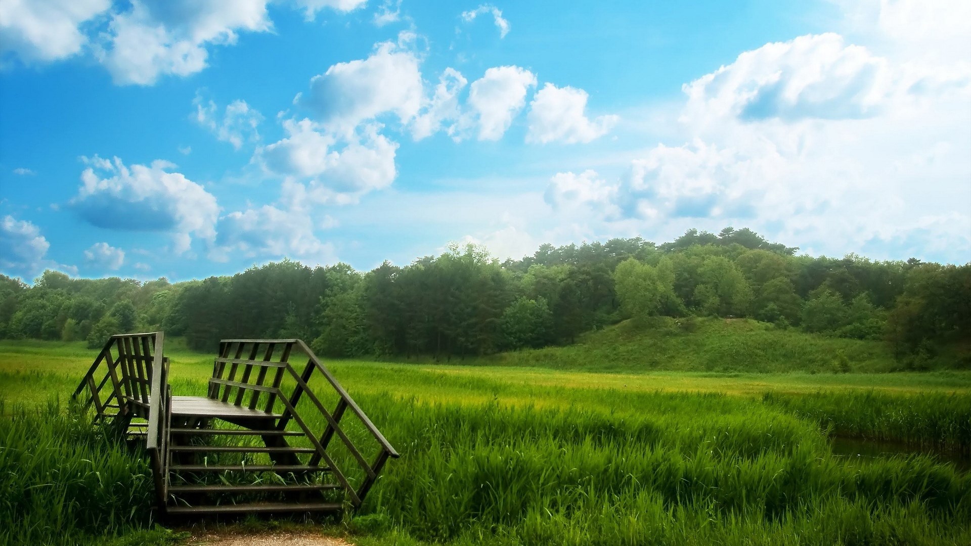 Wooden bridge over a grassy field with trees and clouds HD Wallpaper