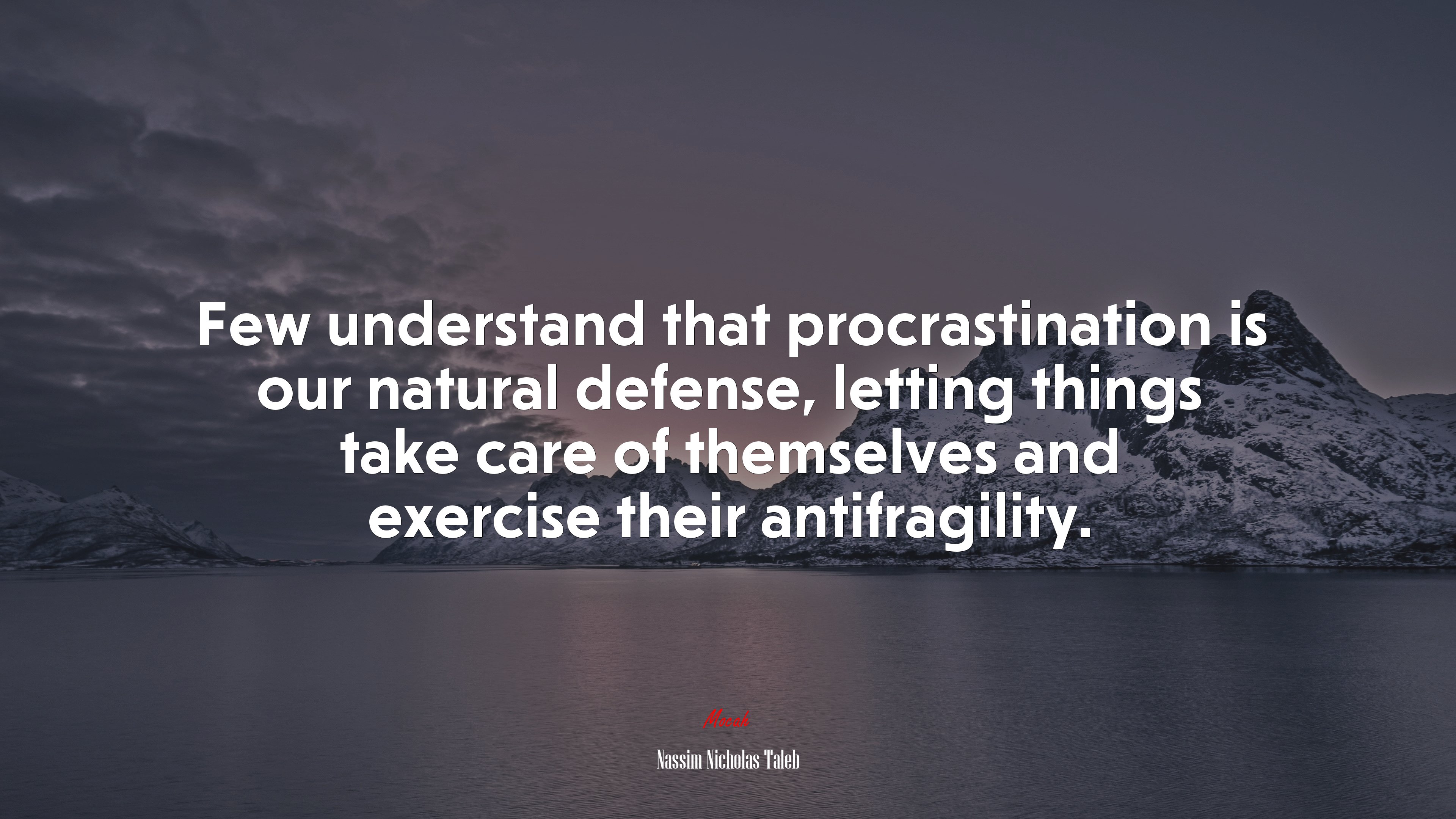 Few understand that procrastination is our natural defense, letting things take care of themselves and exercise their antifragility. | Nassim Nicholas Taleb quote HD Wallpaper