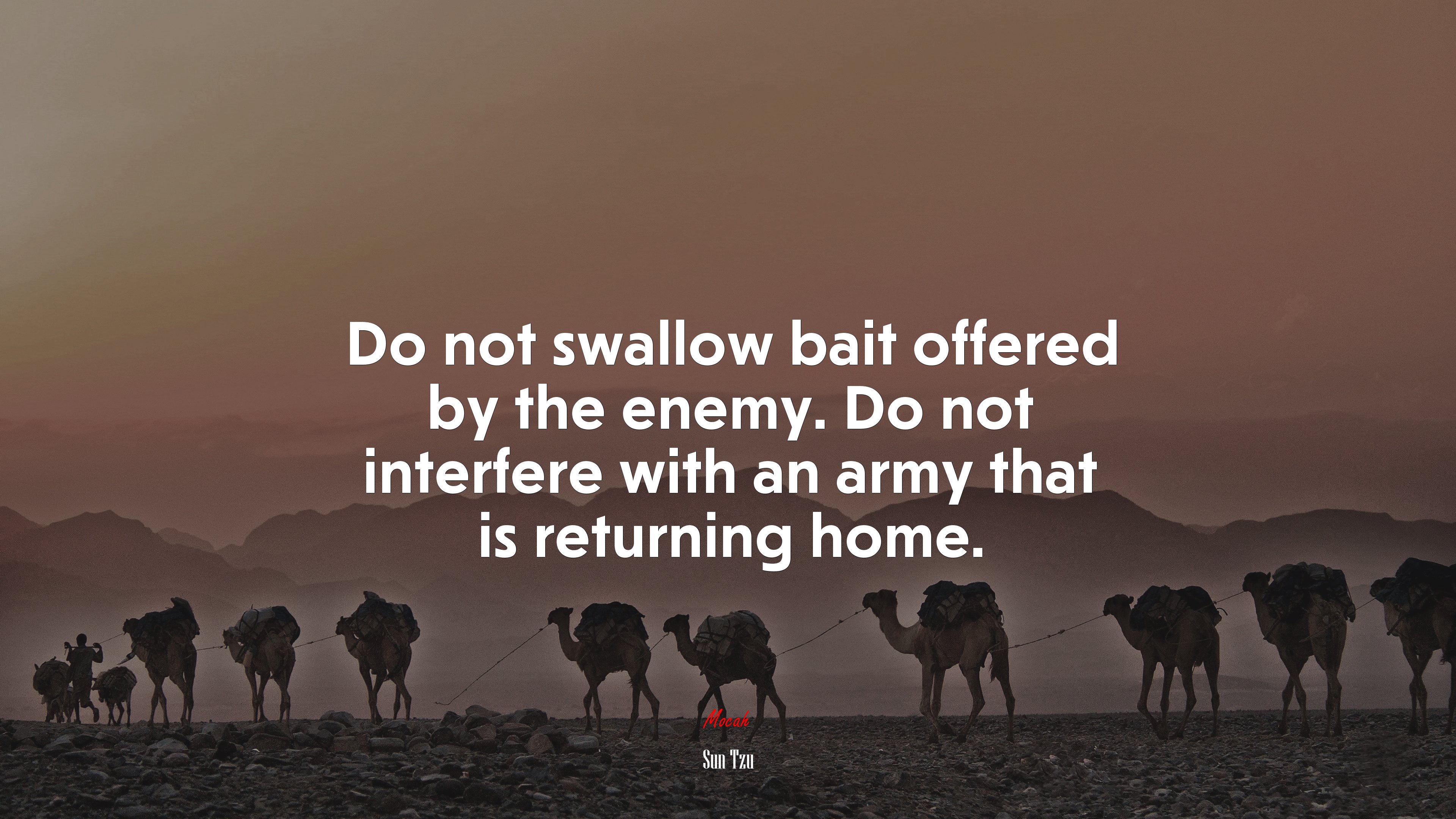 Do not swallow bait offered by the enemy. Do not interfere with an army that is returning home. | Sun Tzu quote HD Wallpaper