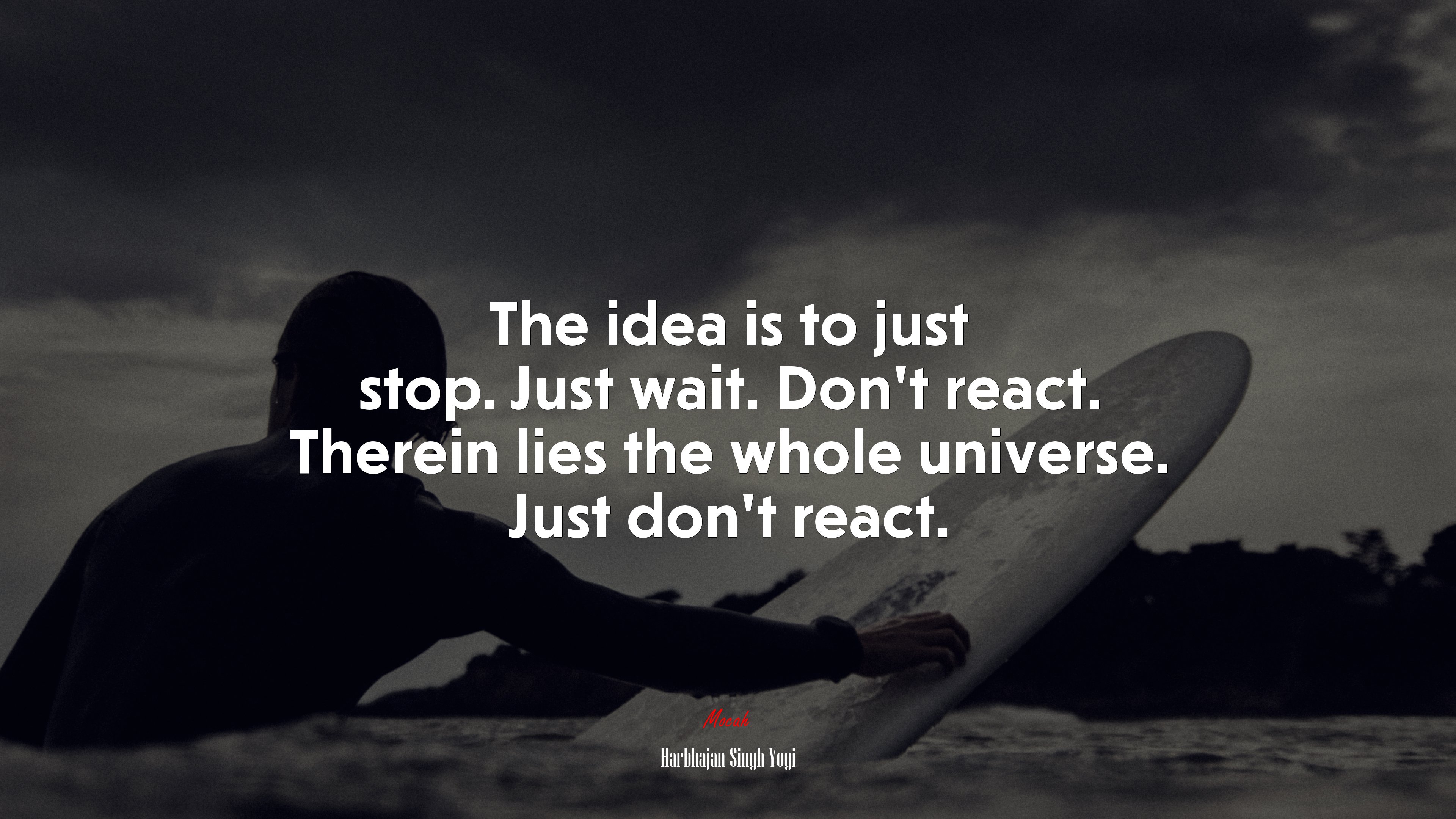 The idea is to just stop. Just wait. Don’t react. Therein lies the whole universe. Just don’t react. | Harbhajan Singh Yogi quote HD Wallpaper