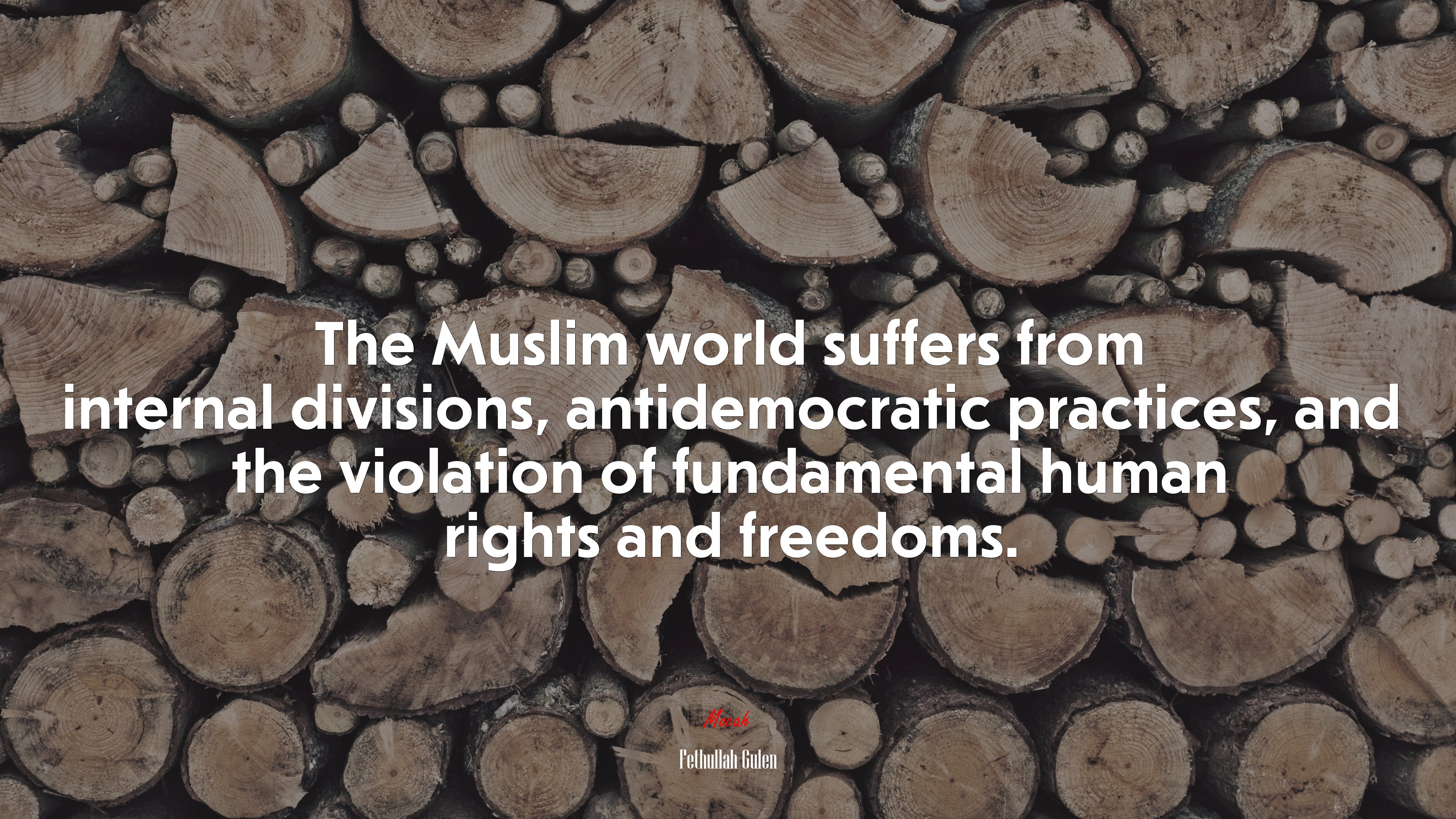 The Muslim world suffers from internal divisions, antidemocratic practices, and the violation of fundamental human rights and freedoms. | Fethullah Gulen quote HD Wallpaper