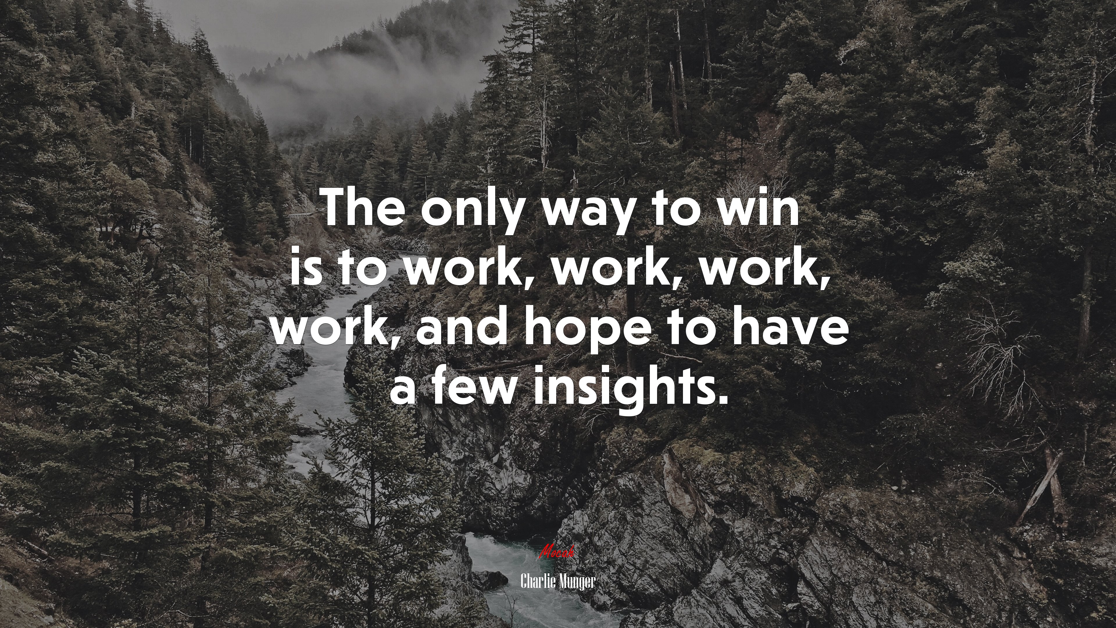 The only way to win is to work, work, work, work, and hope to have a few insights. | Charlie Munger quote HD Wallpaper