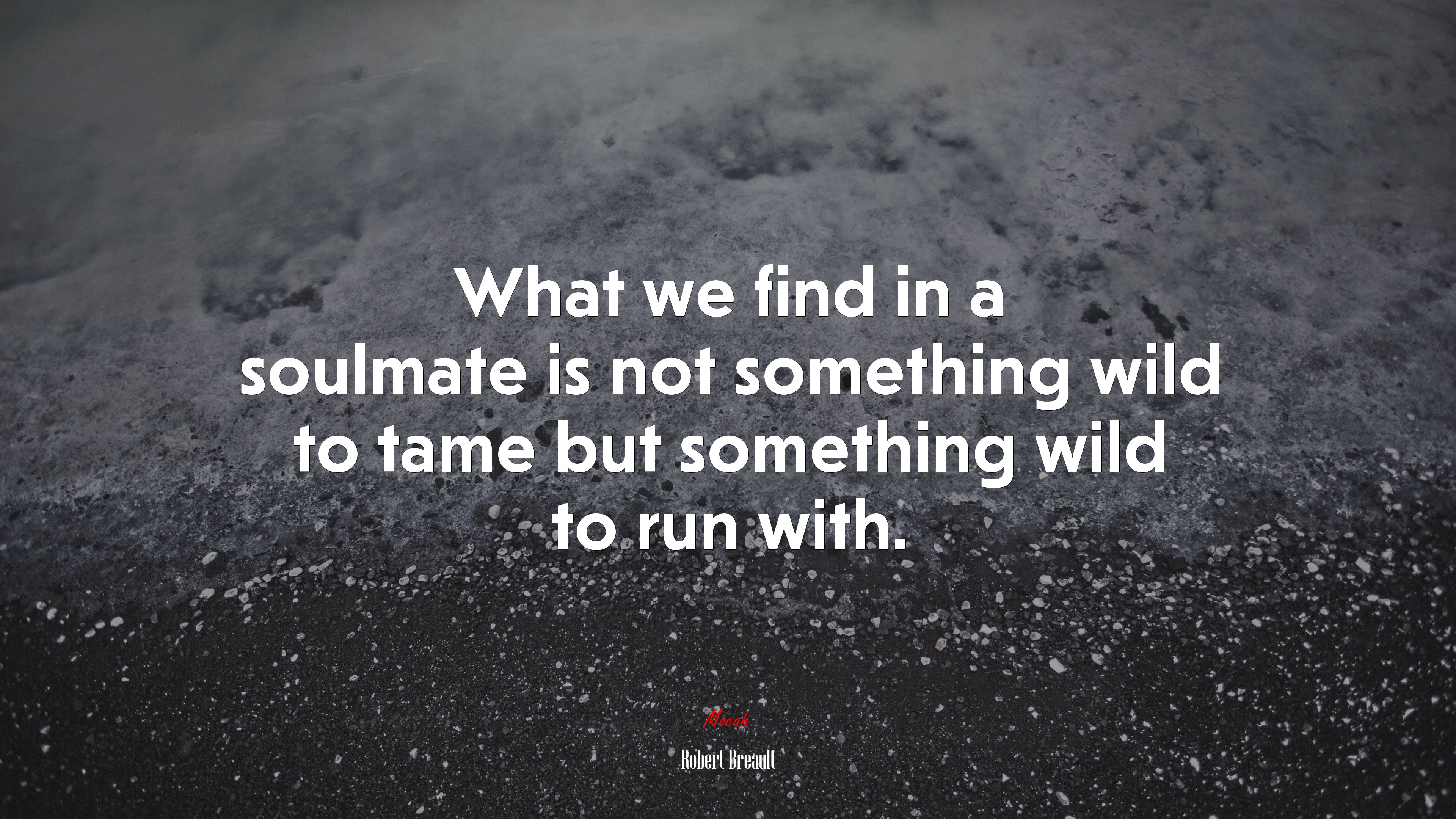 What we find in a soulmate is not something wild to tame but something wild to run with. | Robert Breault quote HD Wallpaper