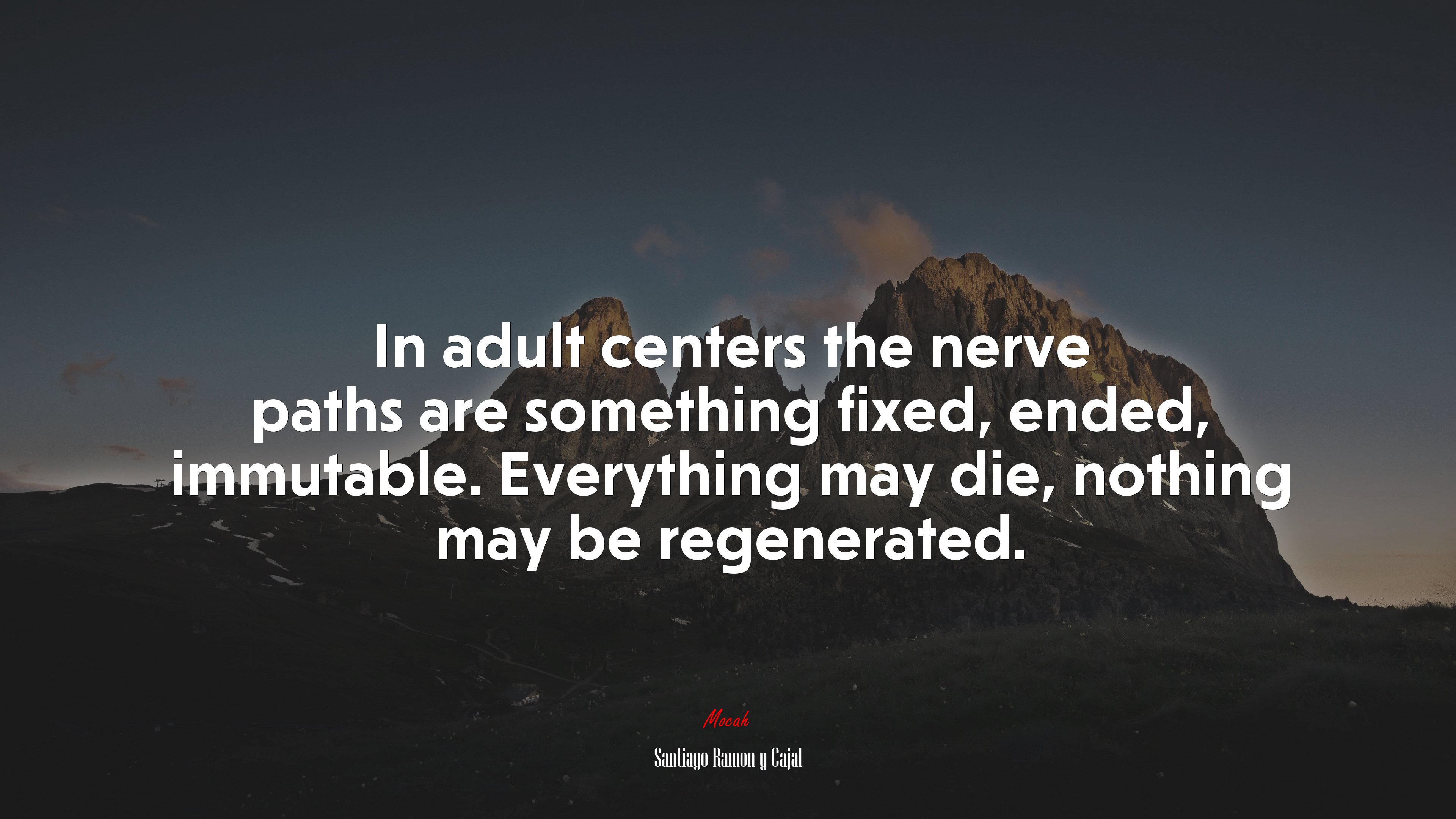 In adult centers the nerve paths are something fixed, ended, immutable. Everything may die, nothing may be regenerated. | Santiago Ramón y Cajal quote HD Wallpaper