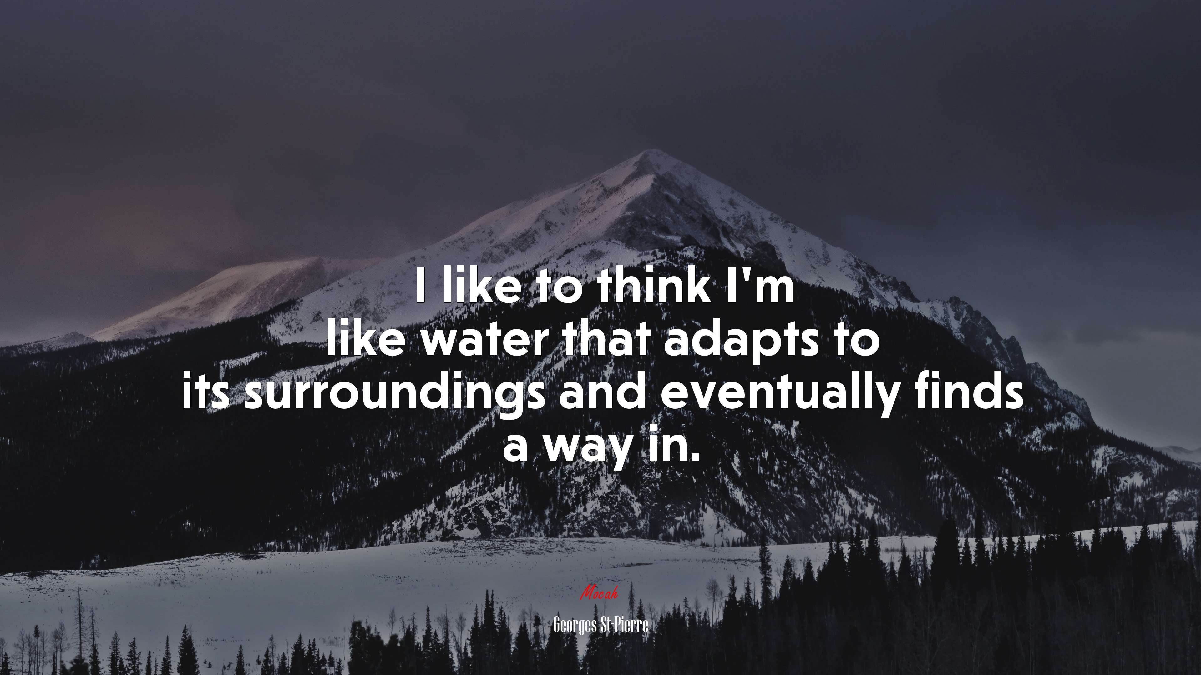 I like to think I’m like water that adapts to its surroundings and eventually finds a way in. | Georges St-Pierre quote HD Wallpaper