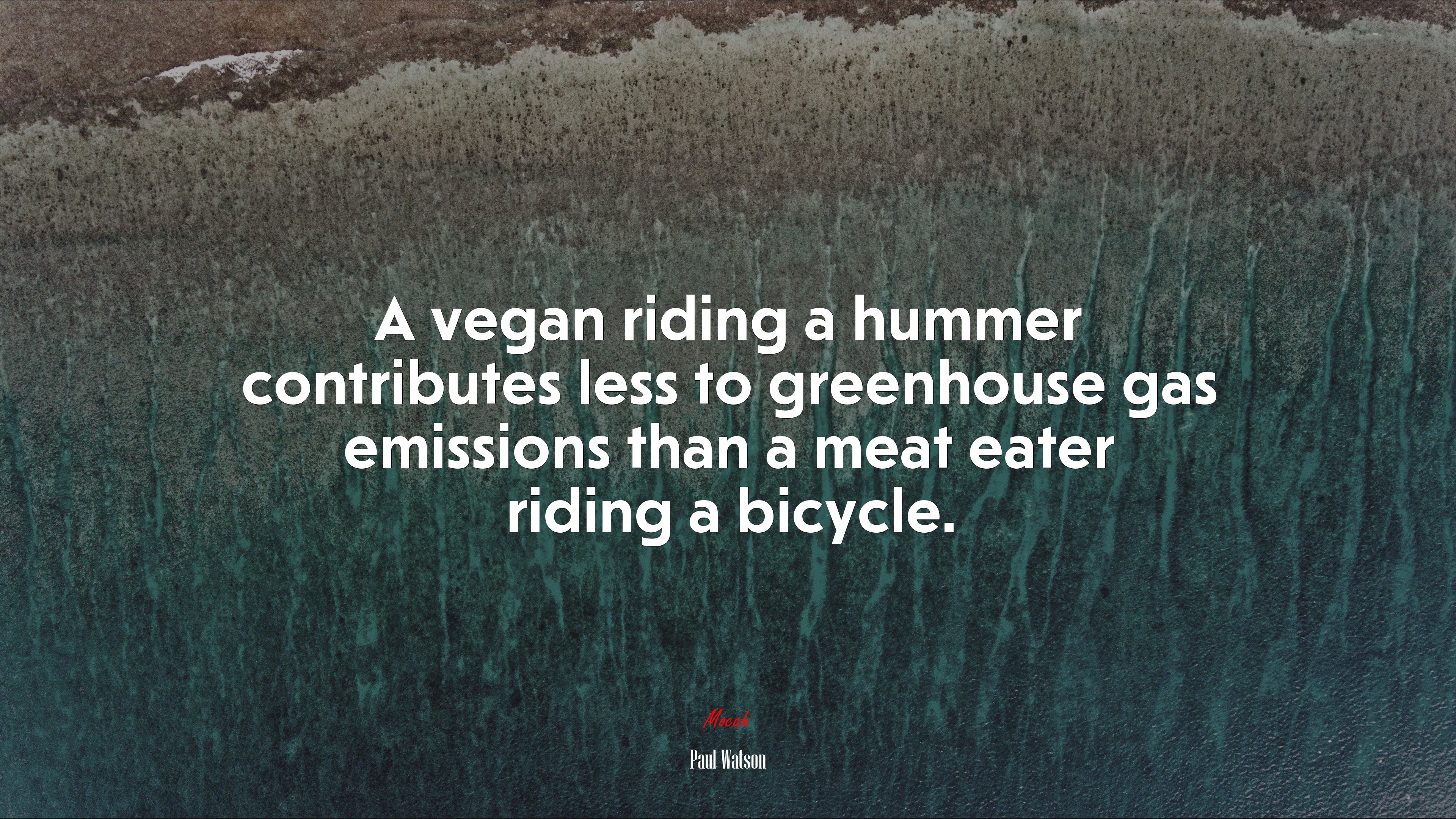 A vegan riding a hummer contributes less to greenhouse gas emissions than a meat eater riding a bicycle. | Paul Watson quote HD Wallpaper