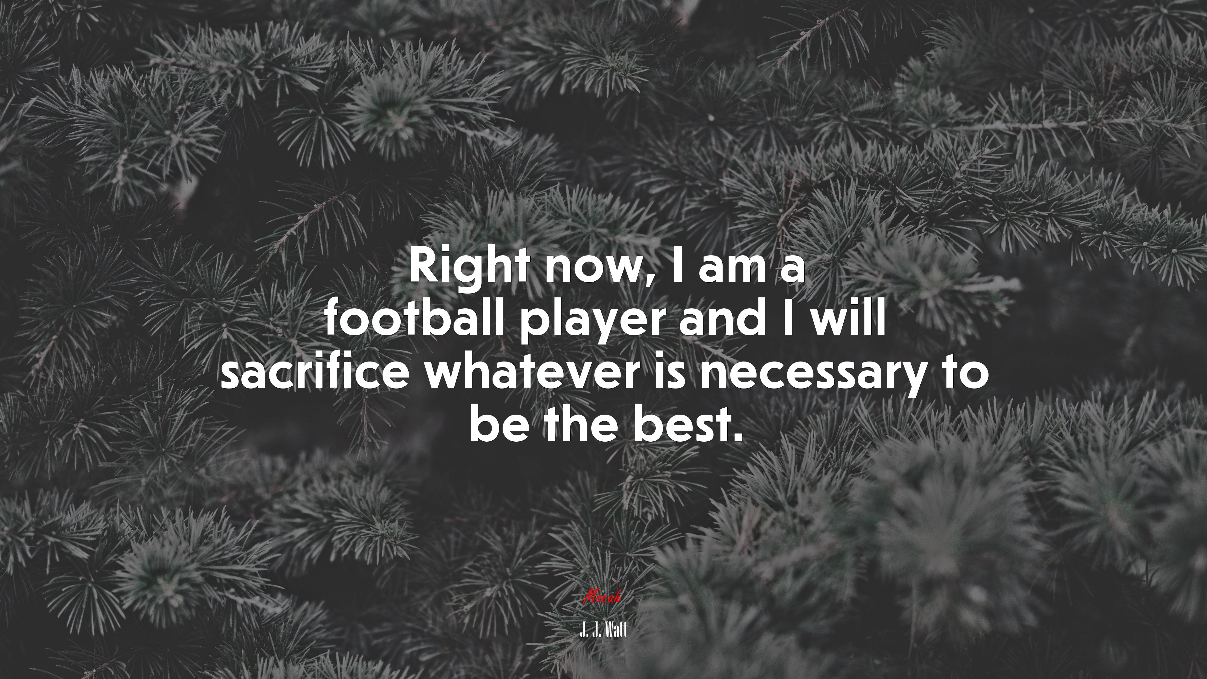 Right now, I am a football player and I will sacrifice whatever is necessary to be the best. | J. J. Watt quote HD Wallpaper
