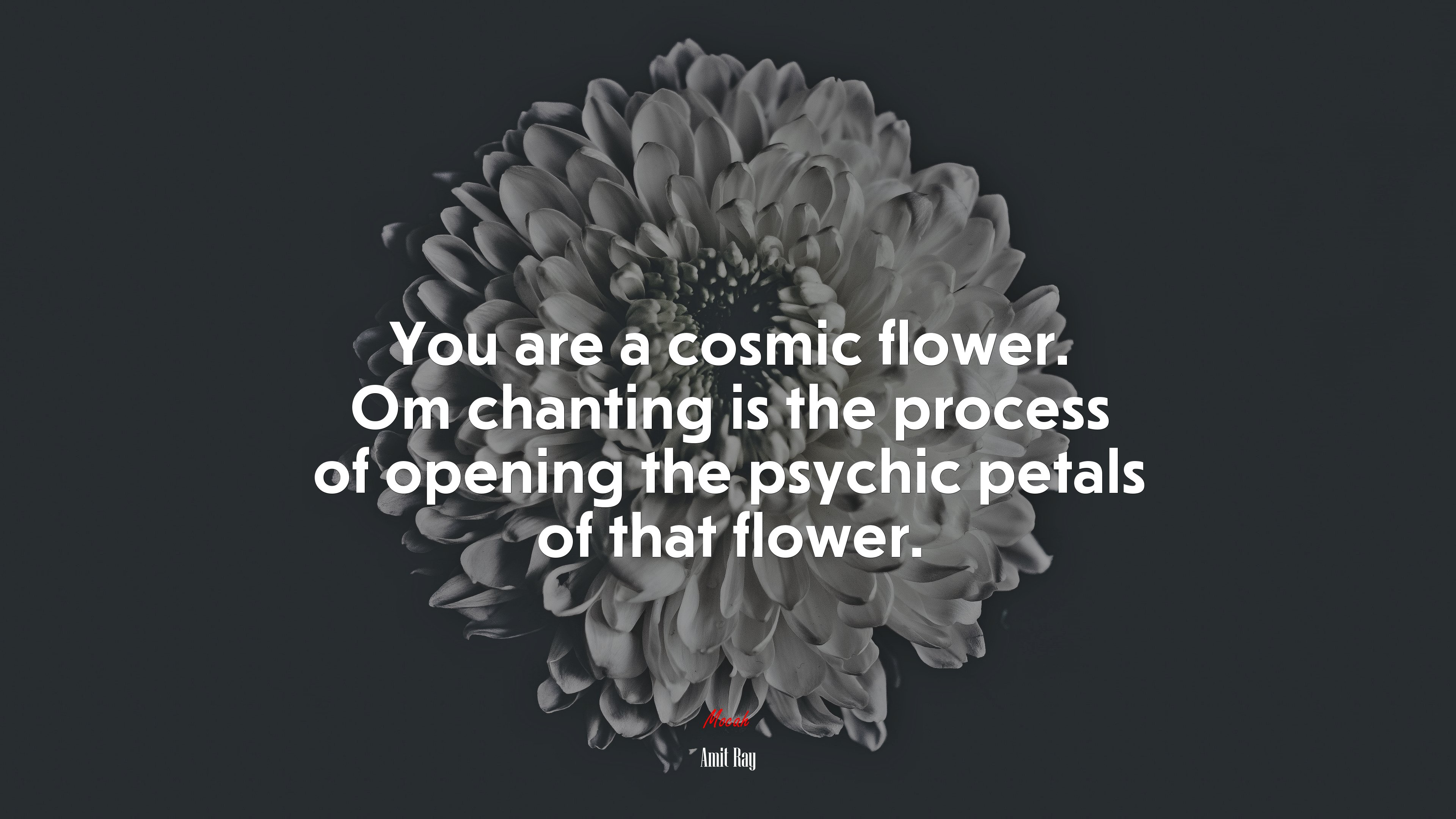 You are a cosmic flower. Om chanting is the process of opening the psychic petals of that flower. | Amit Ray quote HD Wallpaper