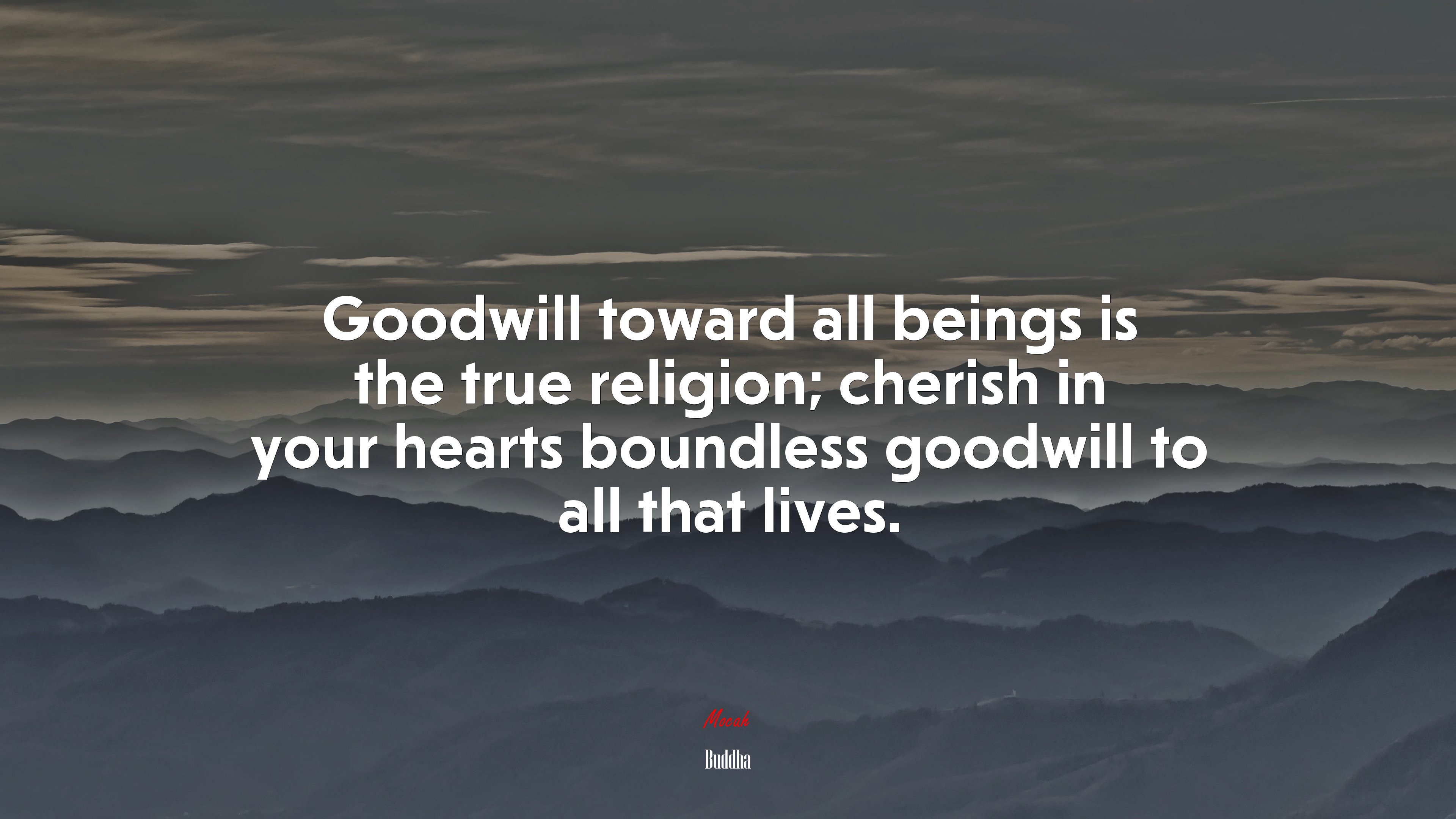 Goodwill toward all beings is the true religion; cherish in your hearts boundless goodwill to all that lives. | Buddha quote HD Wallpaper
