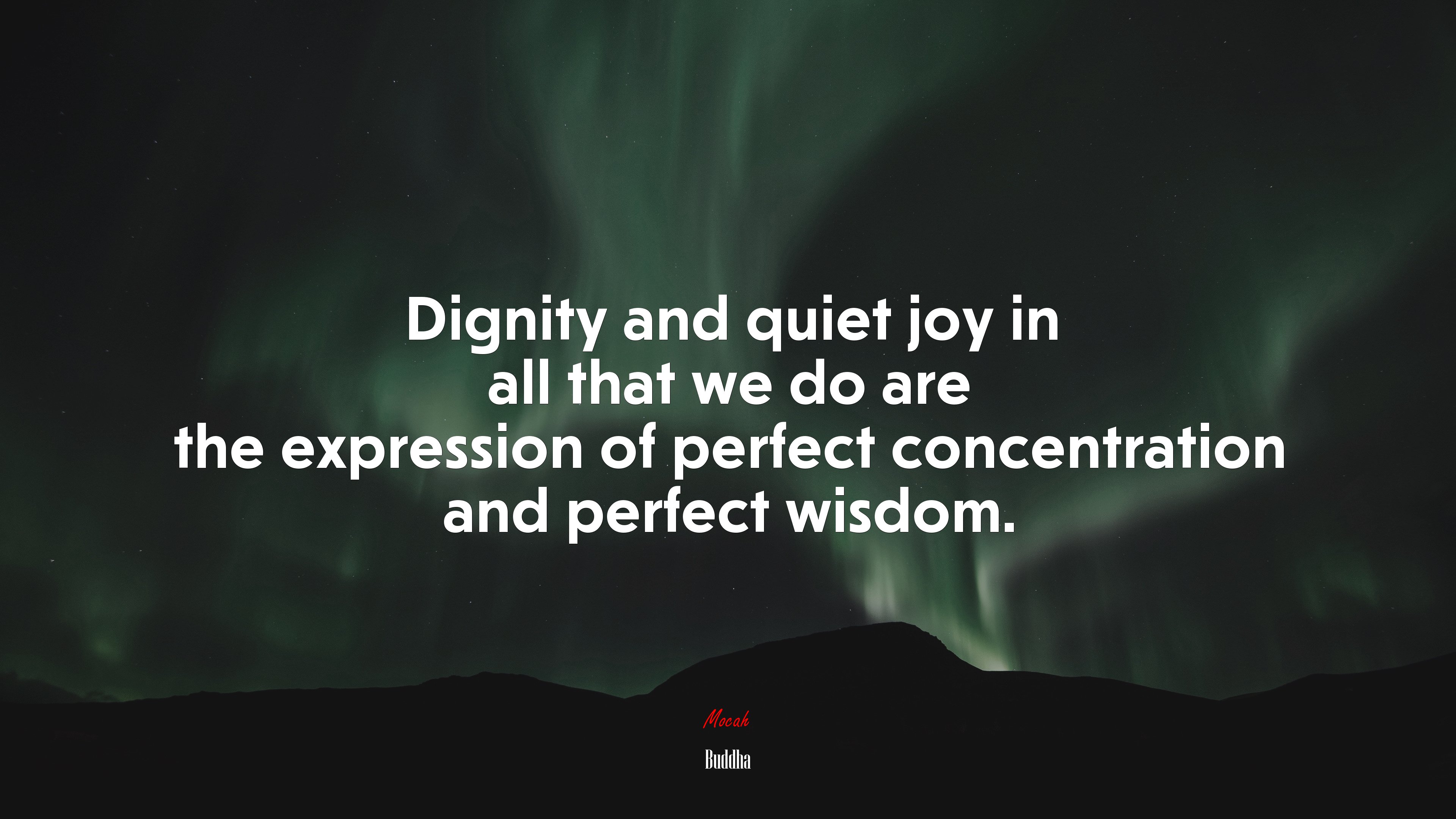 Dignity and quiet joy in all that we do are the expression of perfect concentration and perfect wisdom. | Buddha quote HD Wallpaper