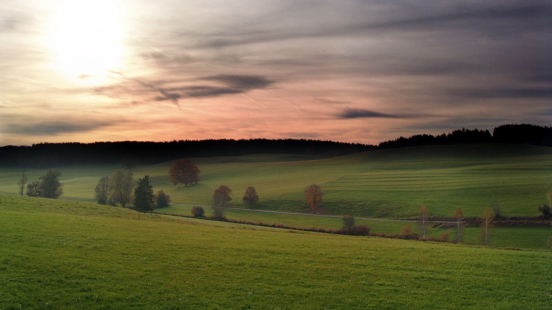 Rolling green hills at sunset with scattered trees HD Wallpaper