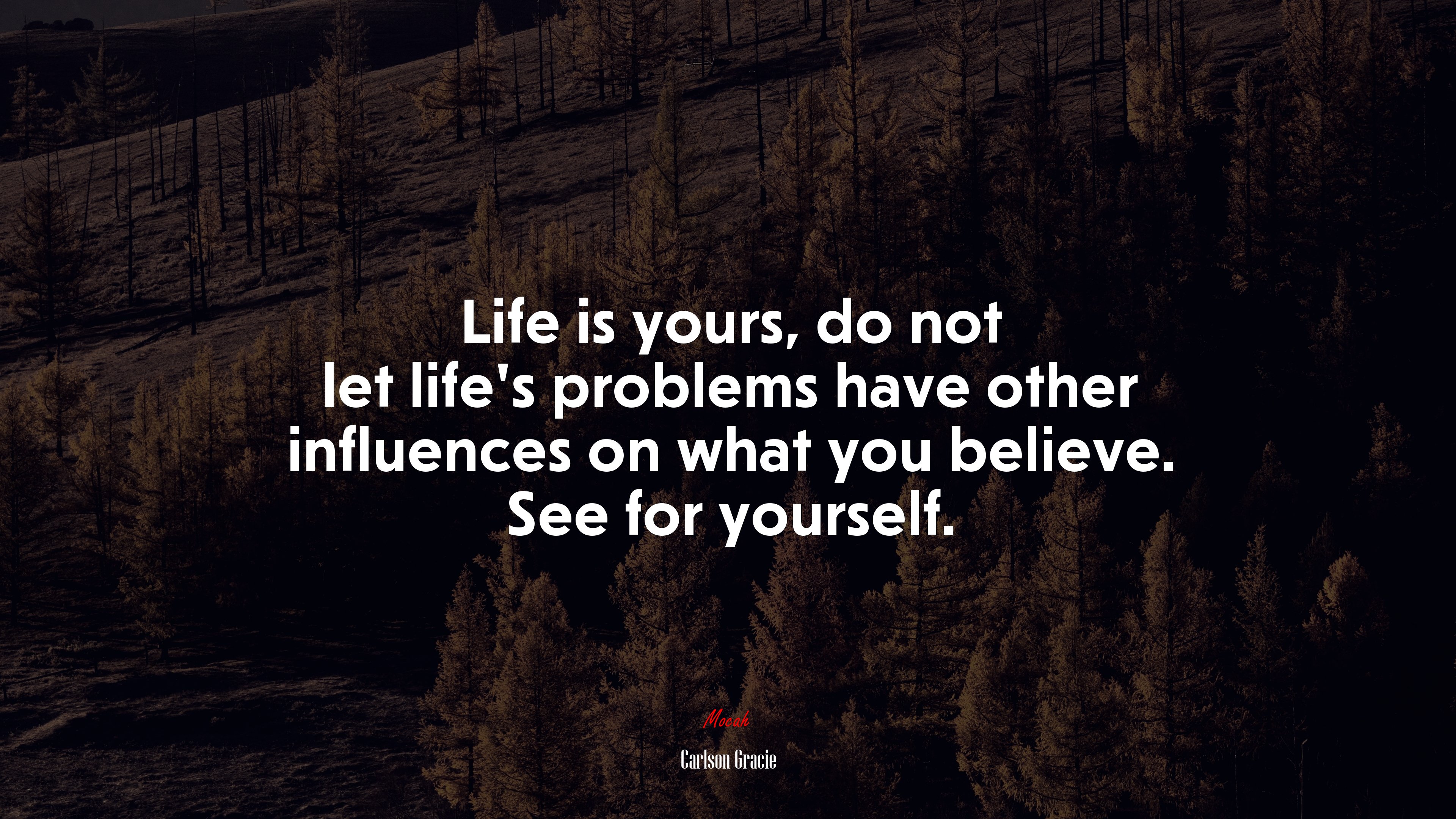 Life is yours, do not let life’s problems have other influences on what you believe. See for yourself. | Carlson Gracie quote HD Wallpaper
