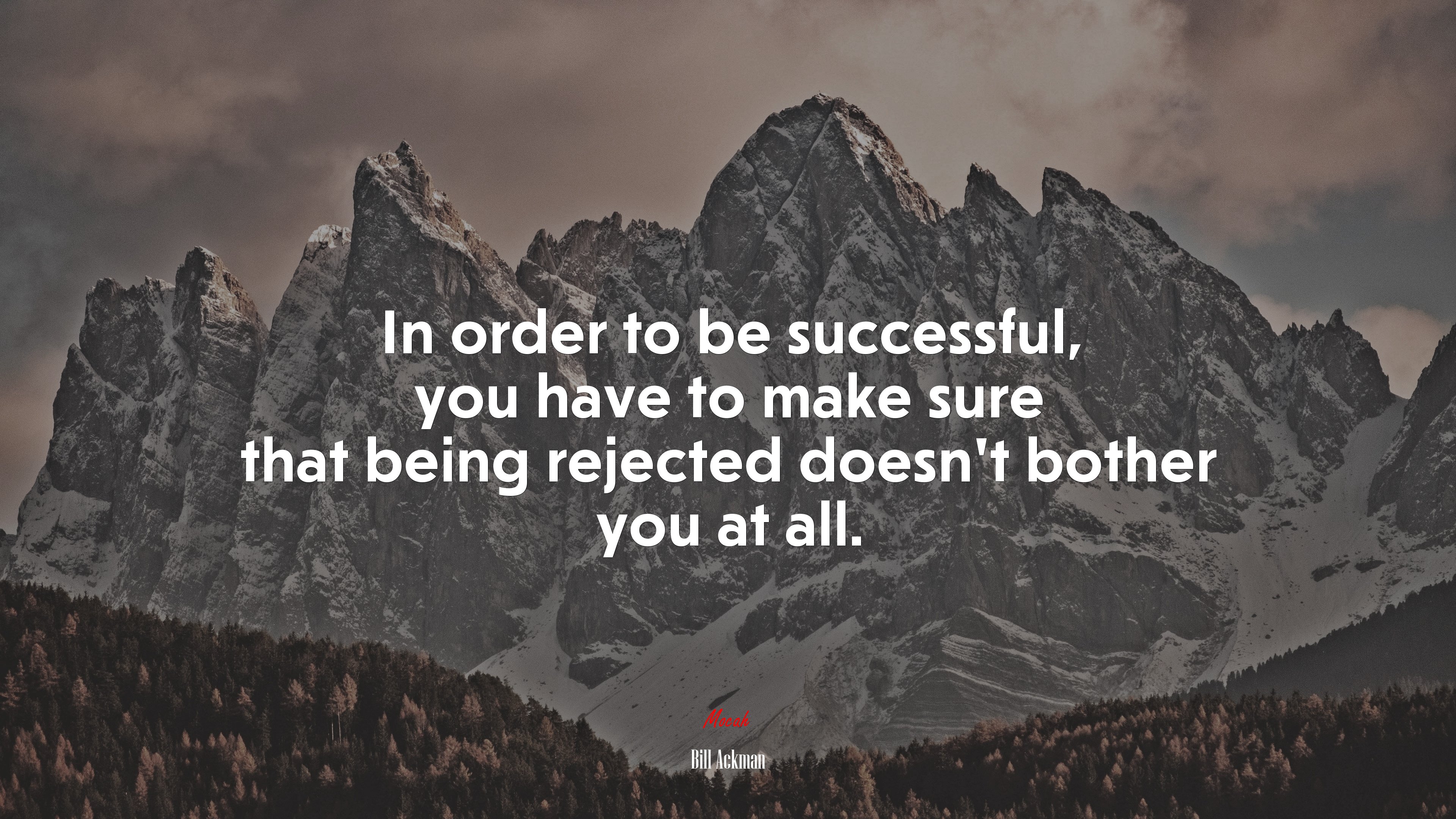 In order to be successful, you have to make sure that being rejected doesn’t bother you at all. | Bill Ackman quote HD Wallpaper