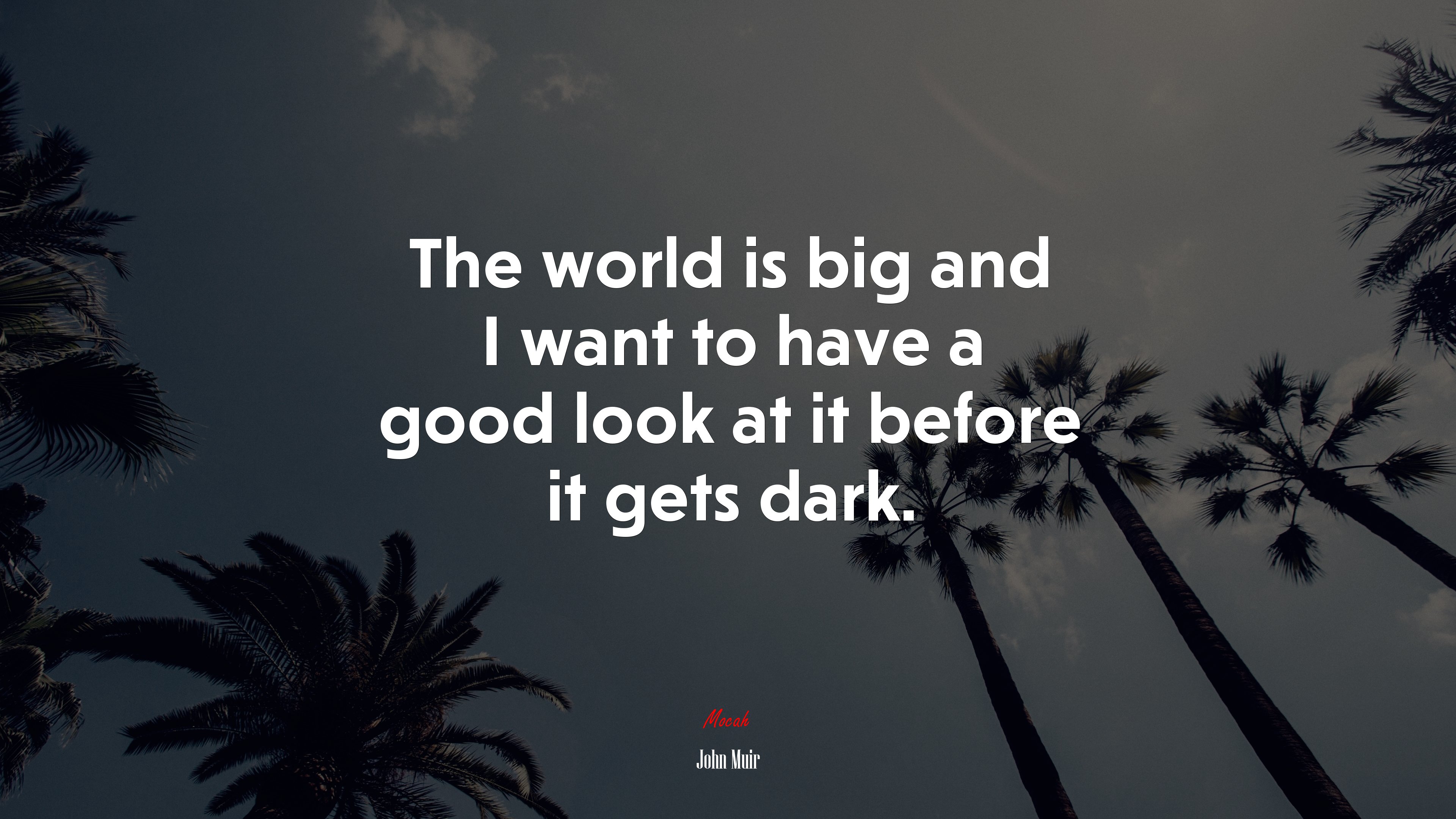 The world is big and I want to have a good look at it before it gets dark. | John Muir quote HD Wallpaper