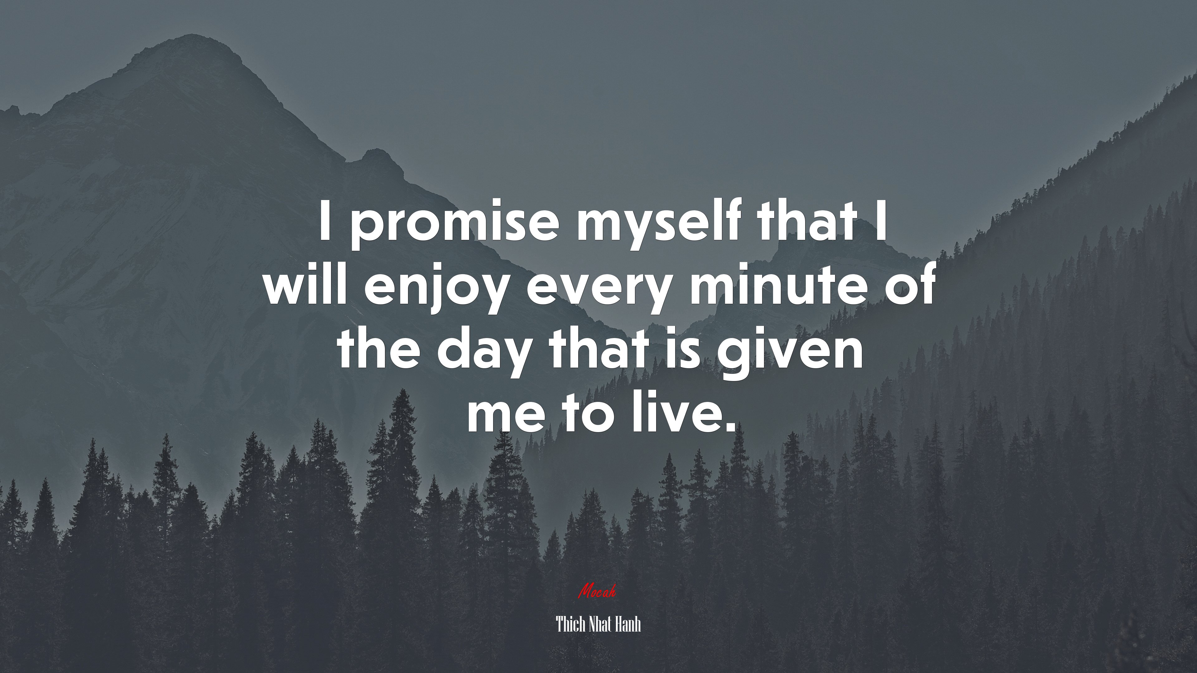 I promise myself that I will enjoy every minute of the day that is given me to live. | Thich Nhat Hanh quote HD Wallpaper