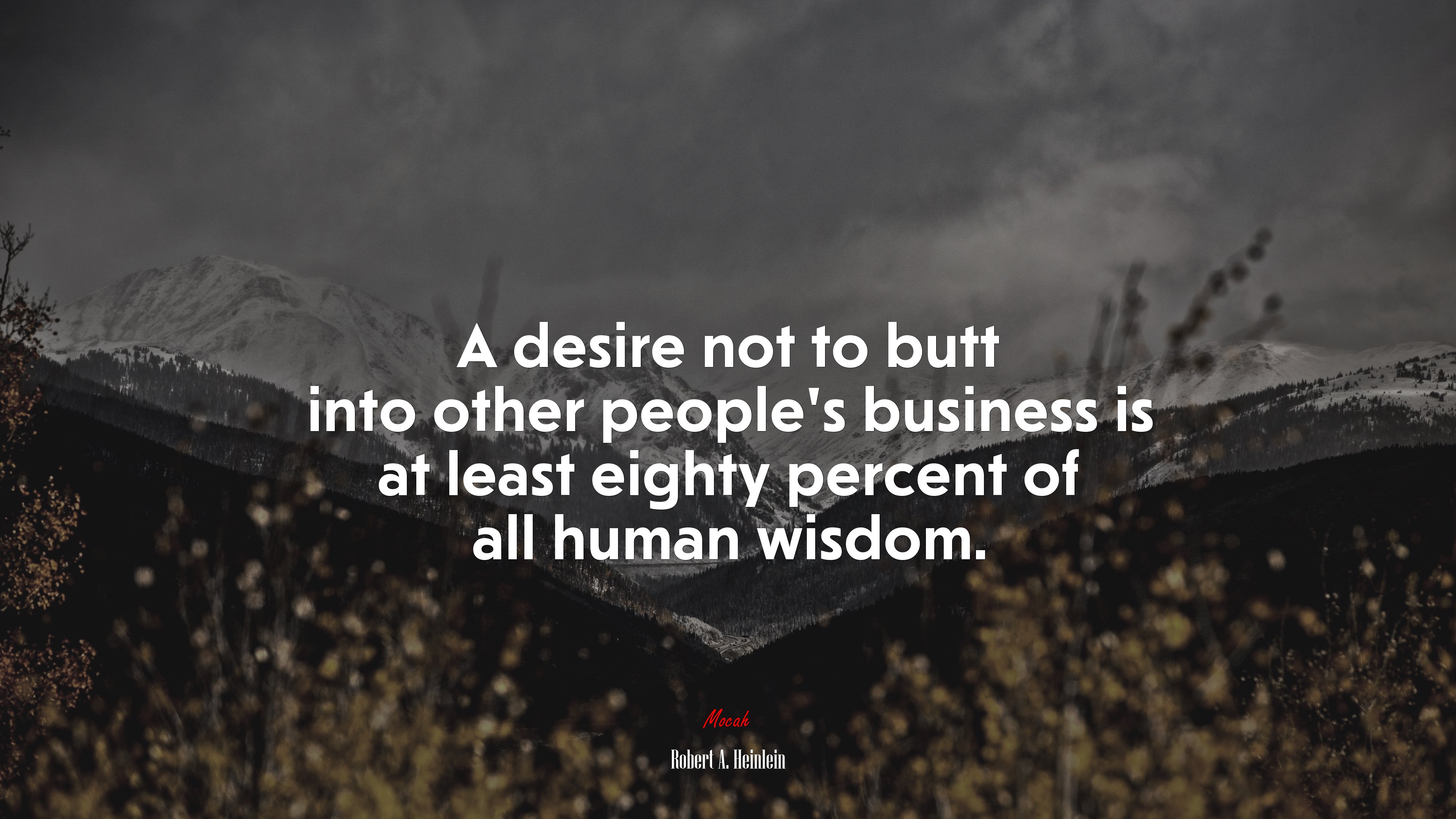 A desire not to butt into other people’s business is at least eighty percent of all human wisdom. | Robert A. Heinlein quote HD Wallpaper