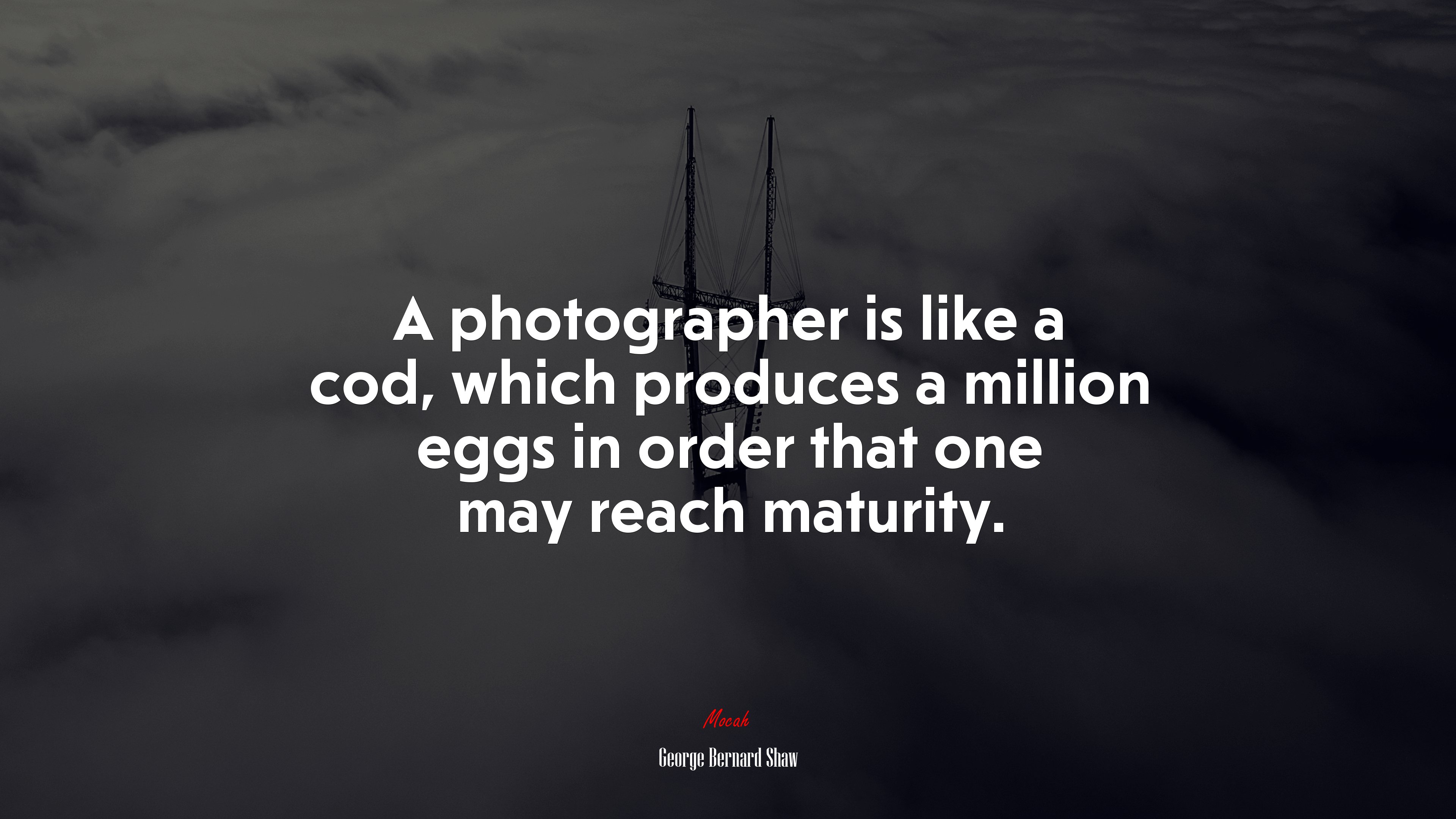 A photographer is like a cod, which produces a million eggs in order that one may reach maturity. | George Bernard Shaw quote HD Wallpaper