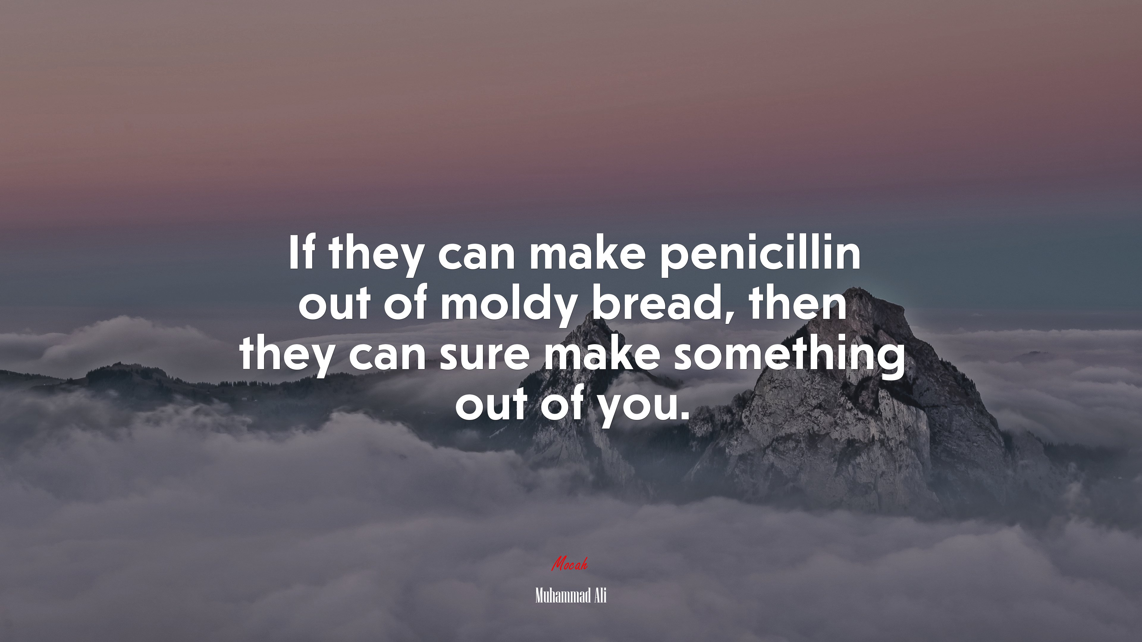 If they can make penicillin out of moldy bread, then they can sure make something out of you. | Muhammad Ali quote HD Wallpaper