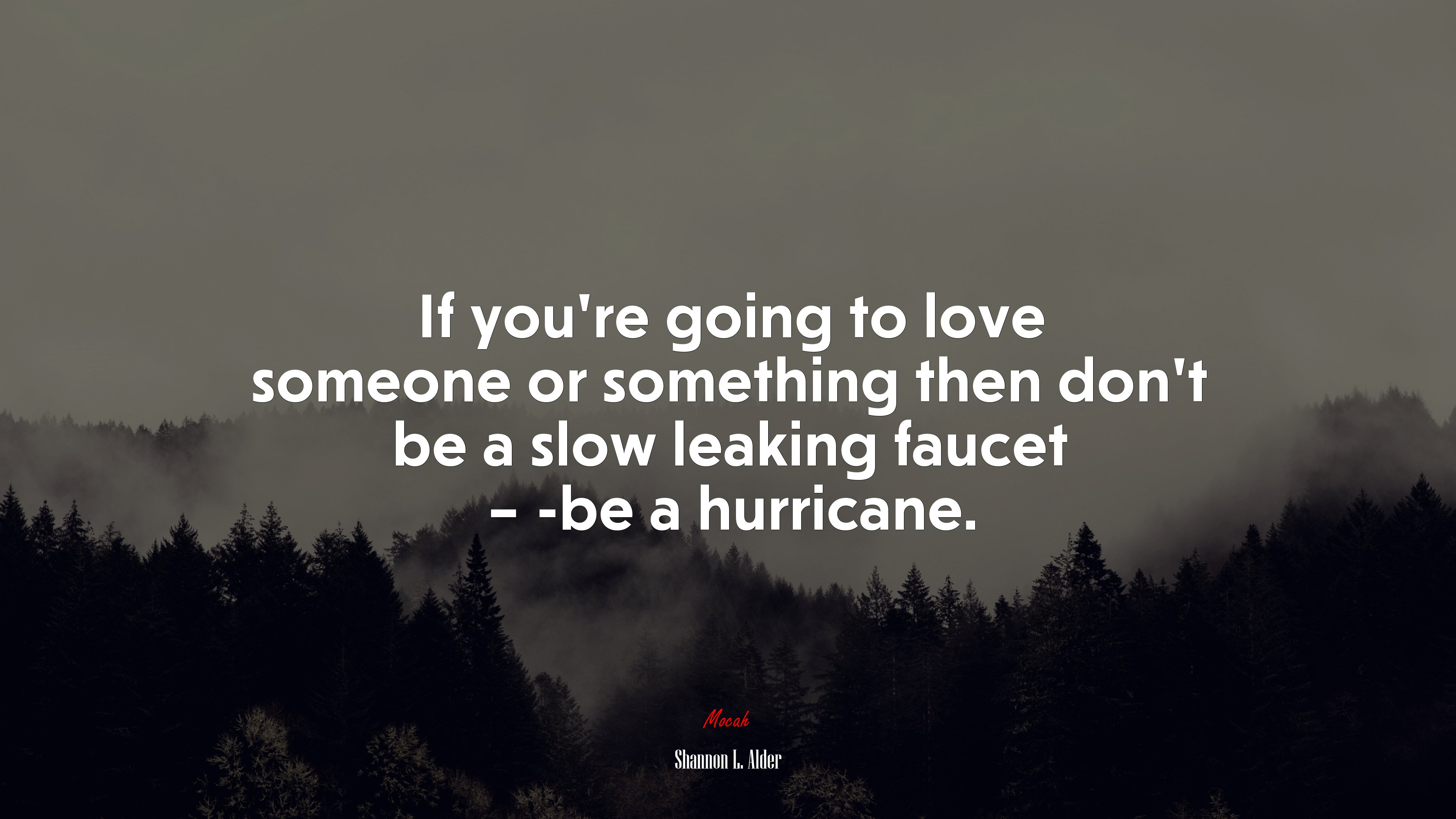 If you’re going to love someone or something then don’t be a slow leaking faucet – -be a hurricane. | Shannon L. Alder quote HD Wallpaper