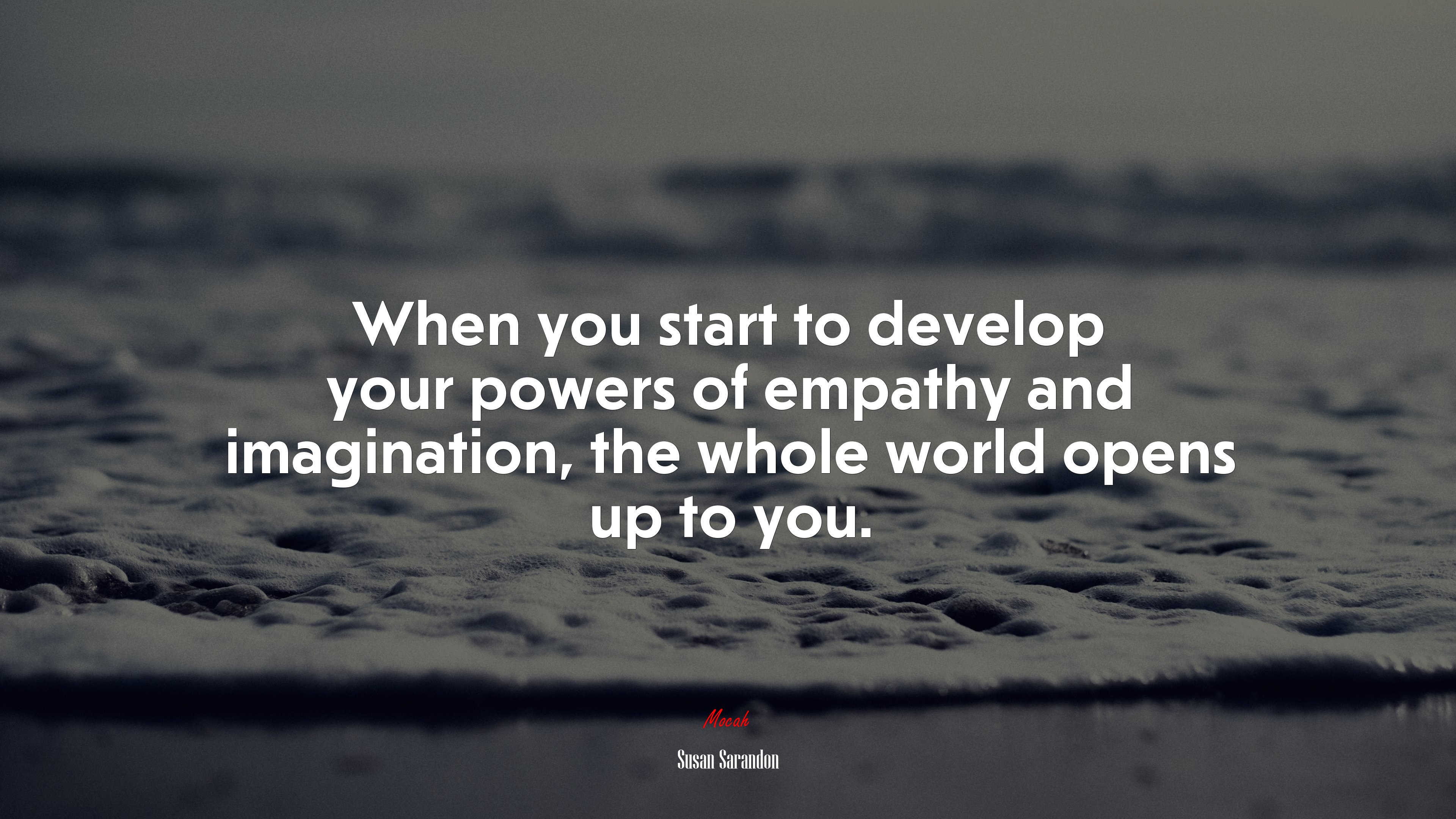 When you start to develop your powers of empathy and imagination, the whole world opens up to you. | Susan Sarandon quote HD Wallpaper