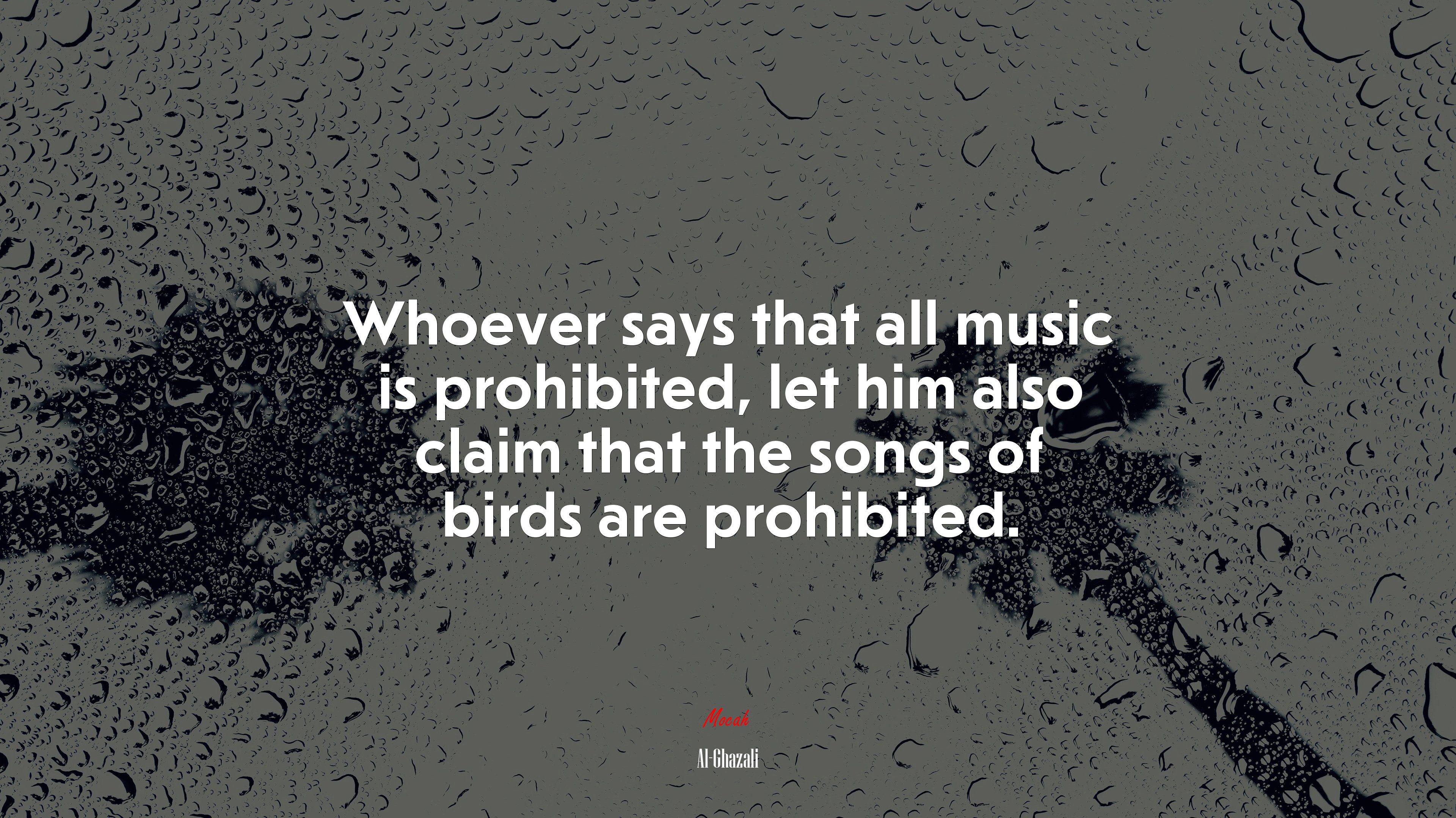 Whoever says that all music is prohibited, let him also claim that the songs of birds are prohibited. | Al-Ghazali quote HD Wallpaper