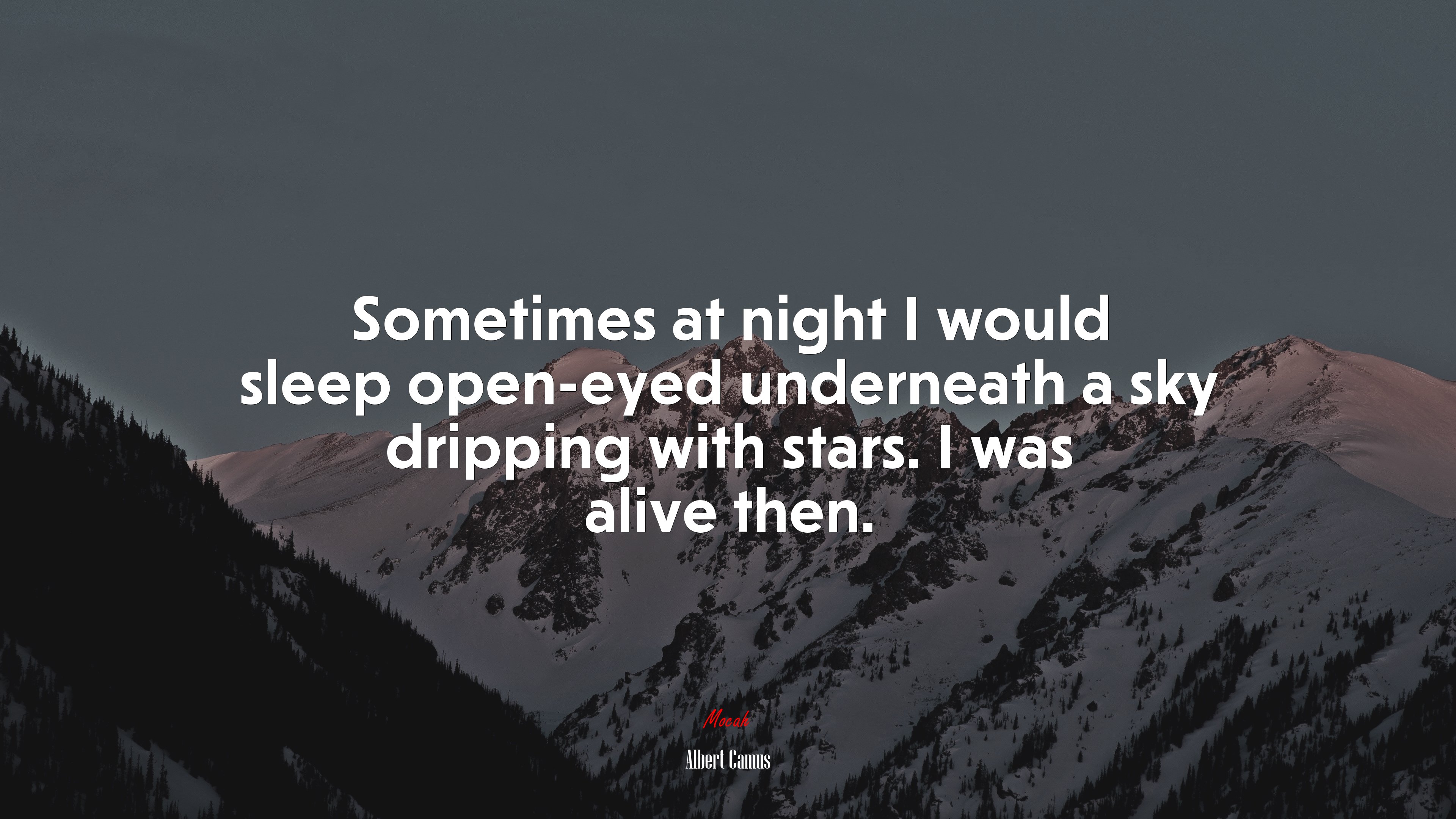 Sometimes at night I would sleep open-eyed underneath a sky dripping with stars. I was alive then. | Albert Camus quote HD Wallpaper