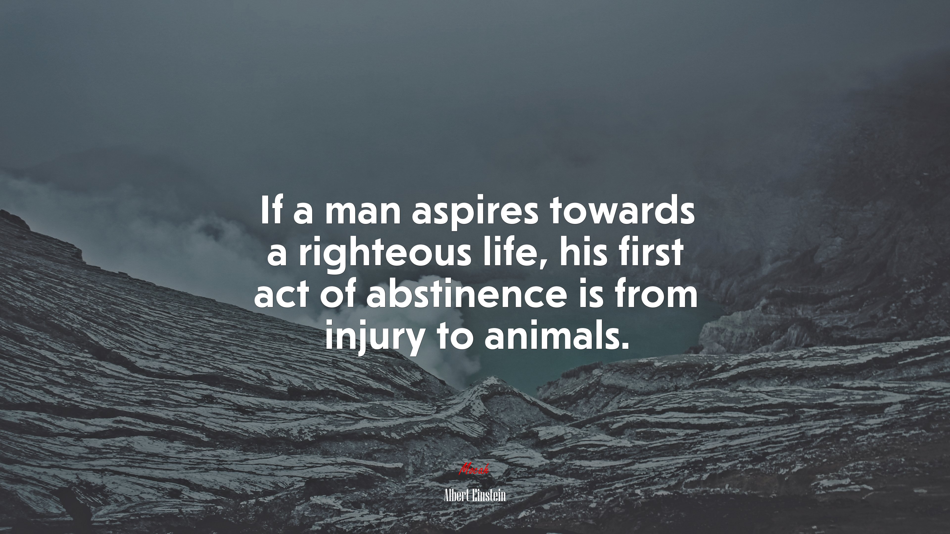 If a man aspires towards a righteous life, his first act of abstinence is from injury to animals. | Albert Einstein quote HD Wallpaper