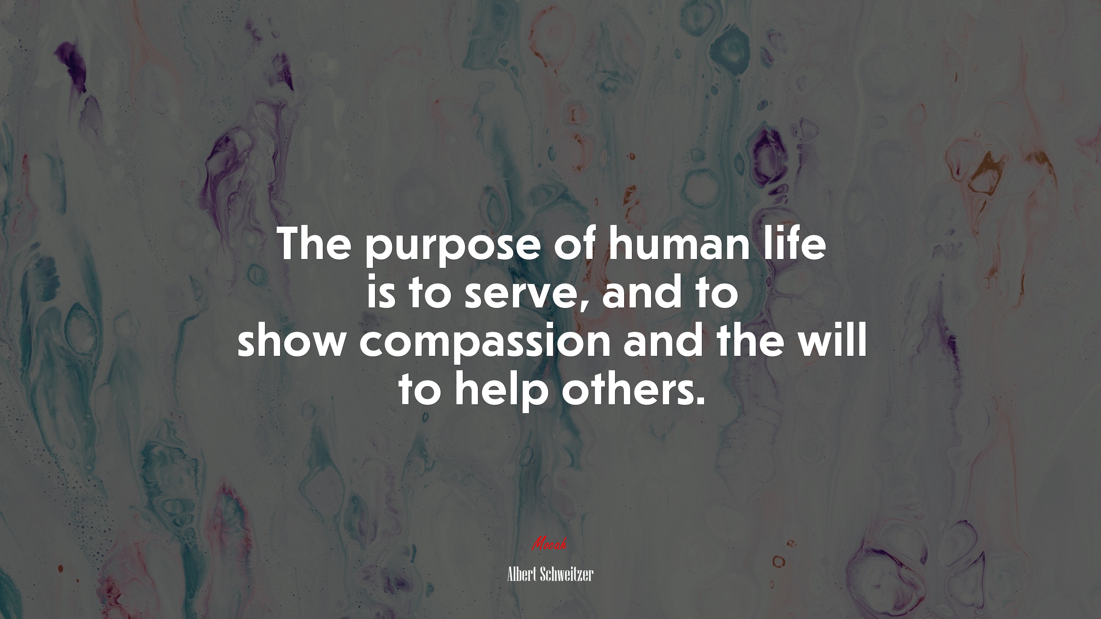 The purpose of human life is to serve, and to show compassion and the will to help others. | Albert Schweitzer quote HD Wallpaper