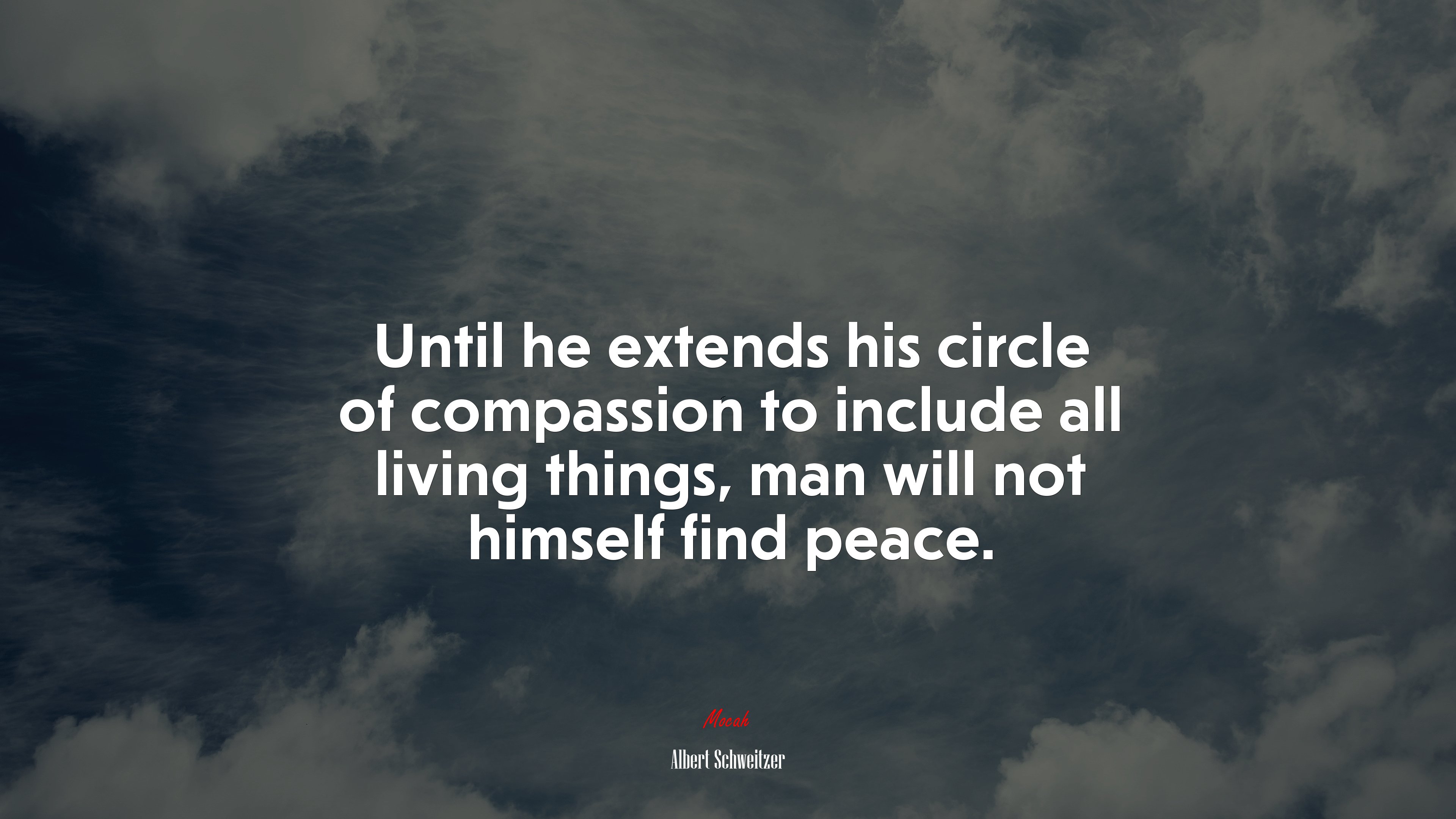 Until he extends his circle of compassion to include all living things, man will not himself find peace. | Albert Schweitzer quote HD Wallpaper